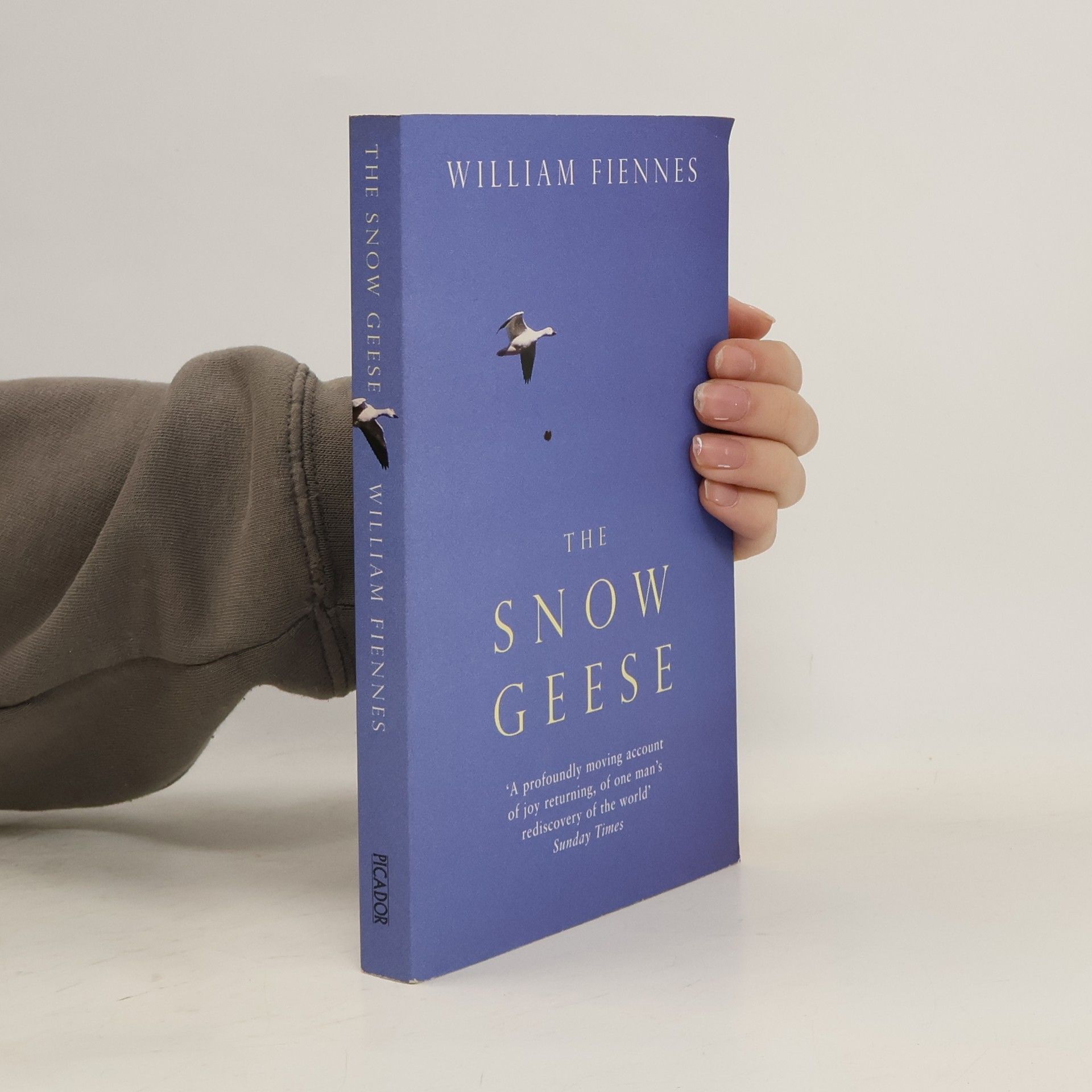 William Fiennes The Snow Geese