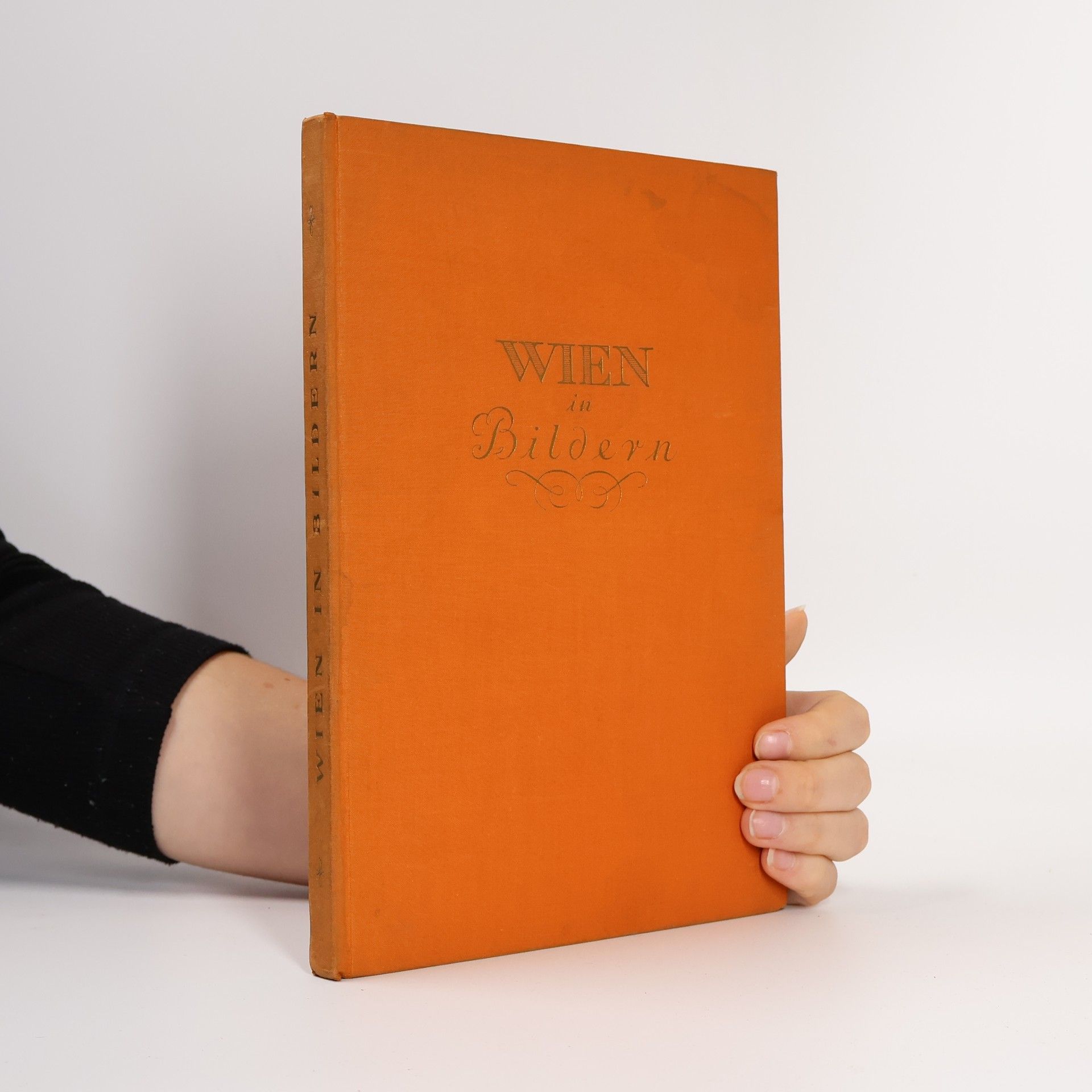 Various authors Wien in Bildern