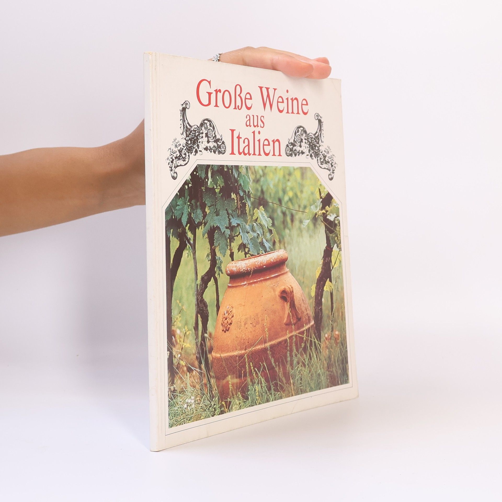 AA.VV. Große Weine aus Italien