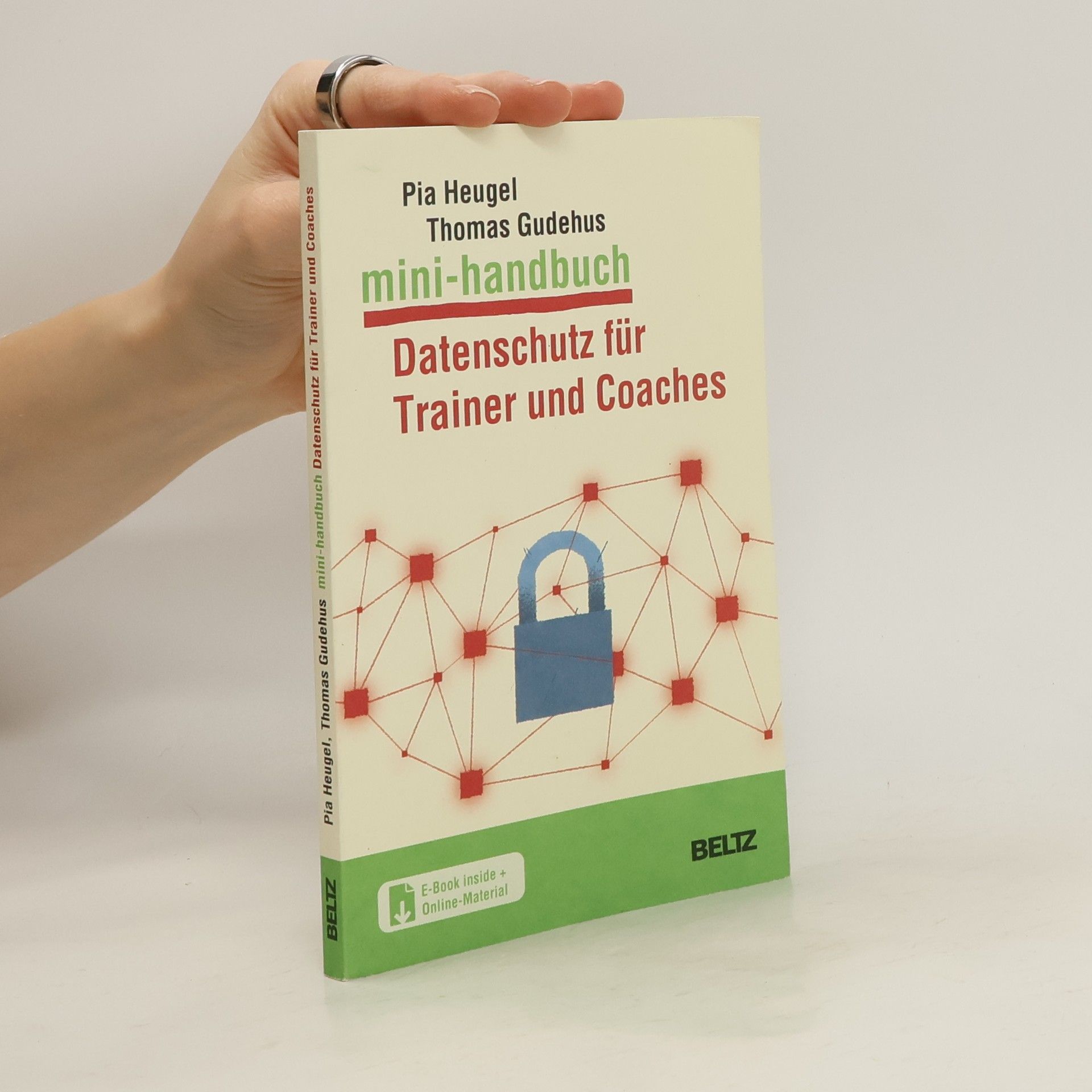 Pia Heugel Mini-Handbuch Datenschutz für Trainer und Coaches