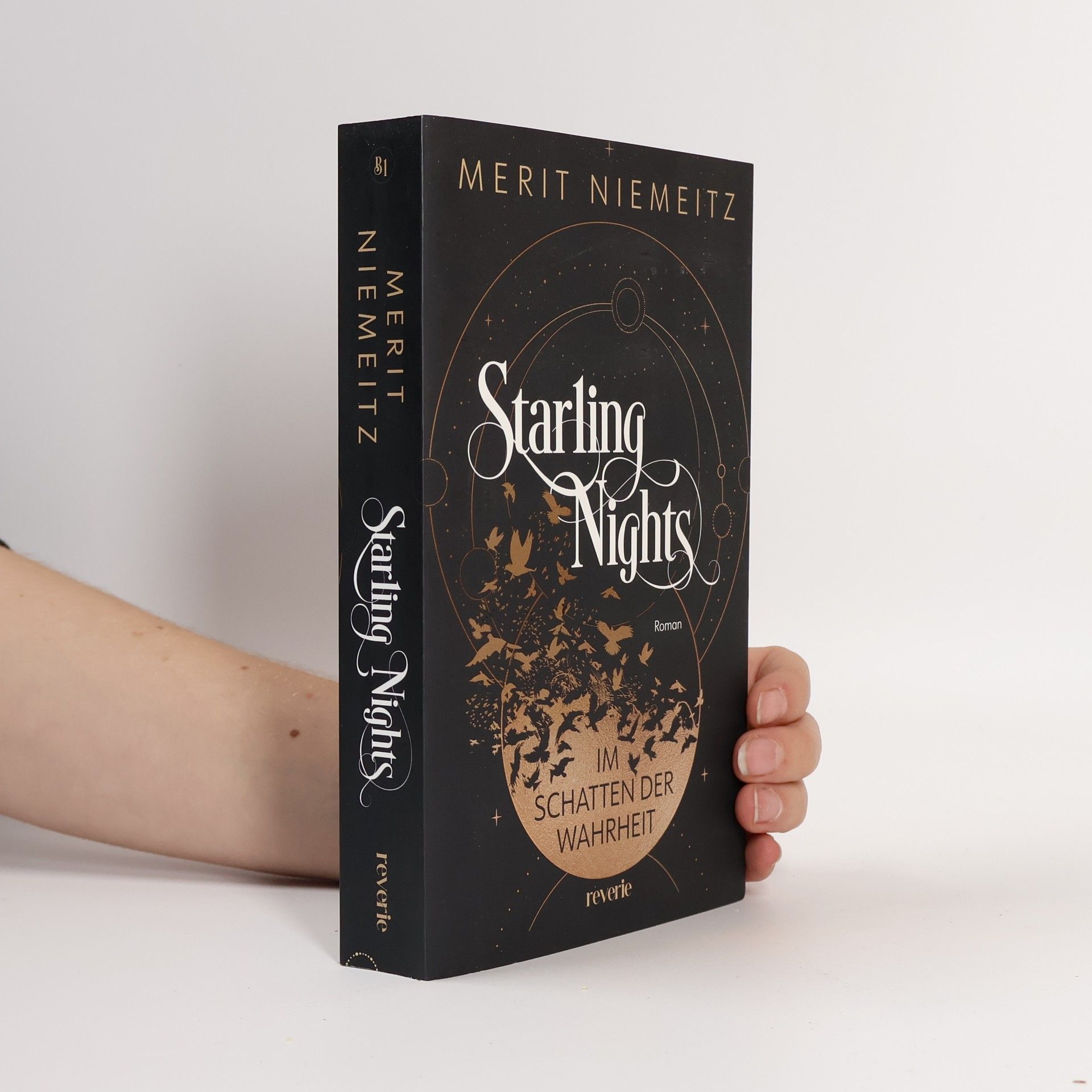 Merit Niemeitz Starling Nights 1