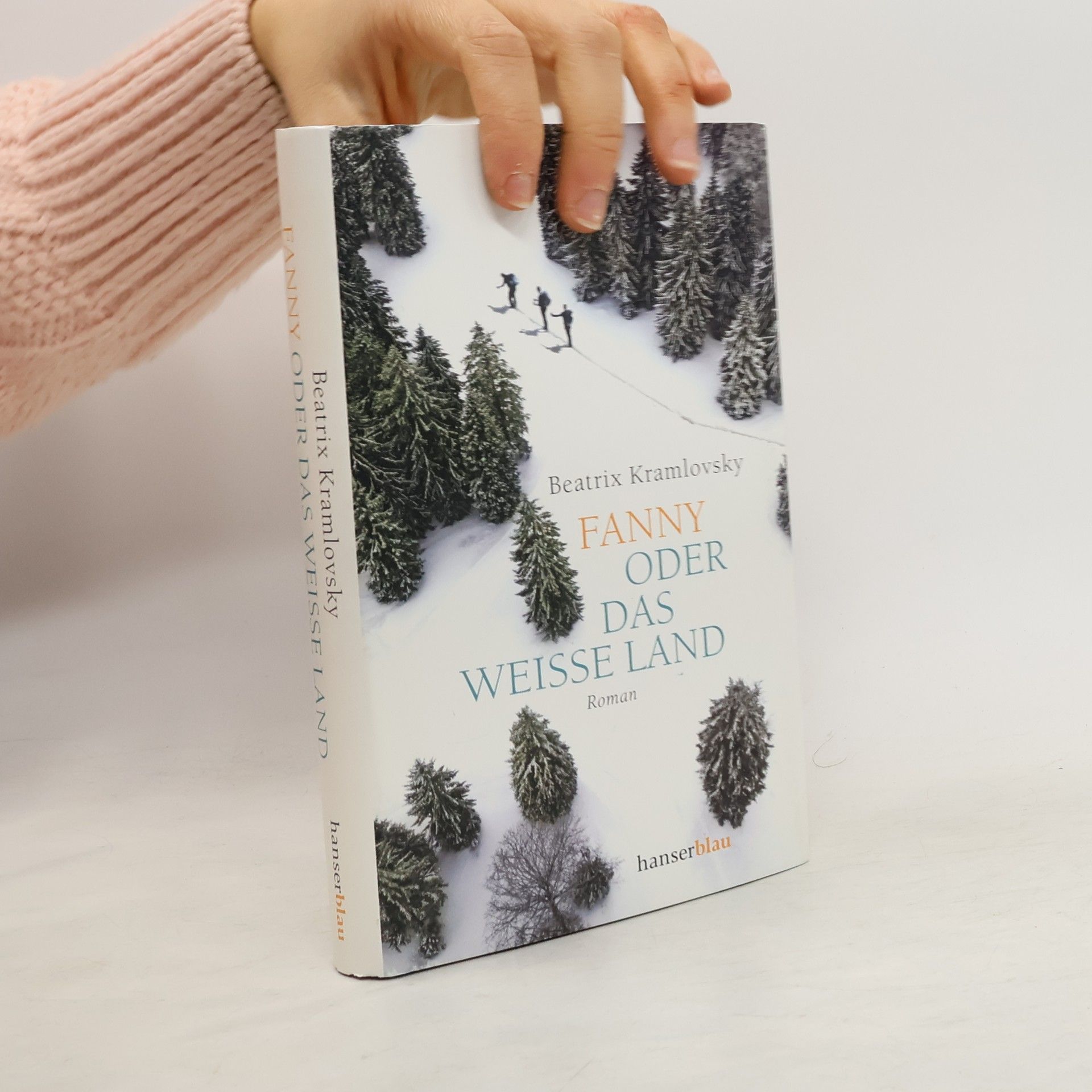 Beatrix M. Kramlovsky Fanny oder Das weisse Land