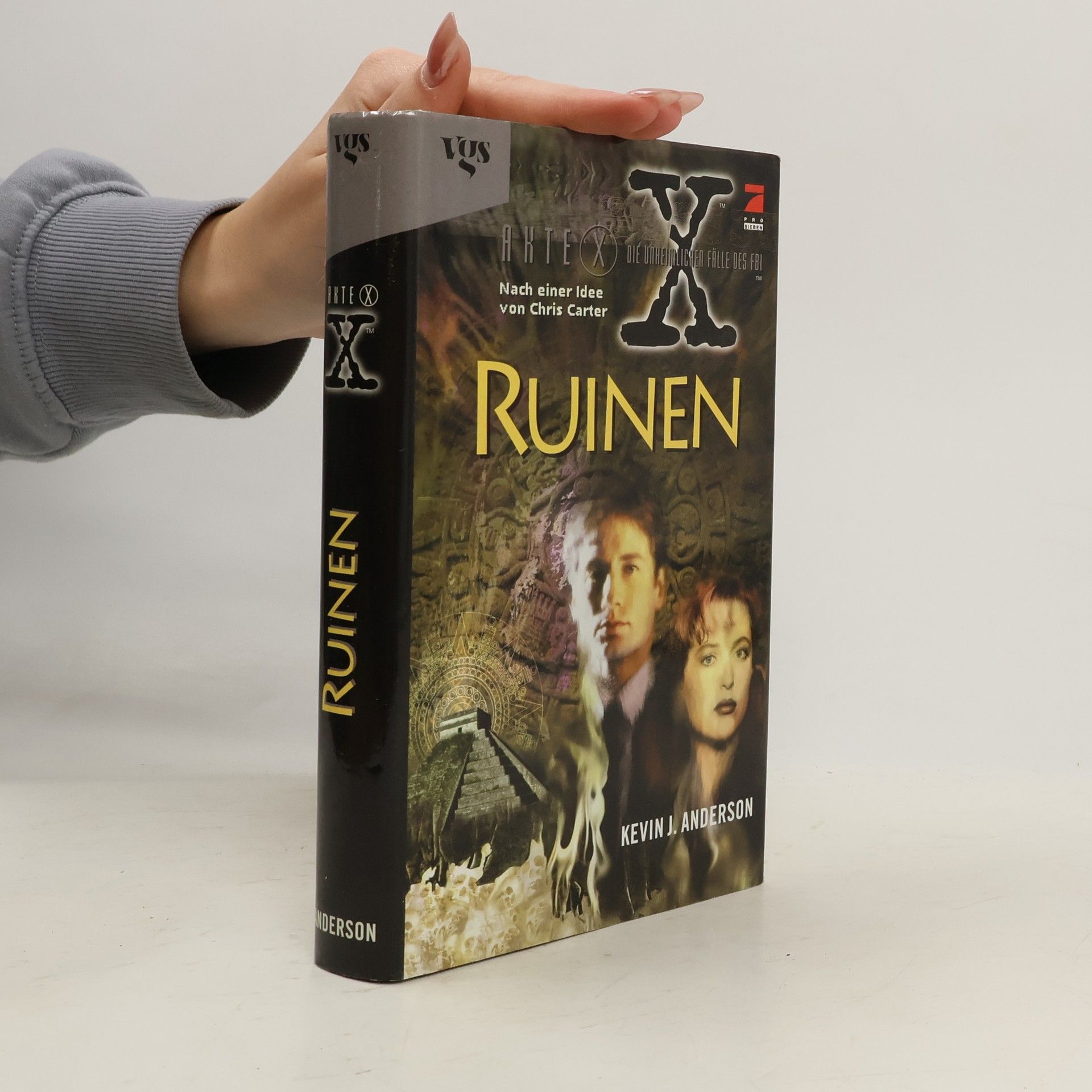 Kevin J. Anderson Akte X - die unheimlichen Fälle des FBI. Ruinen