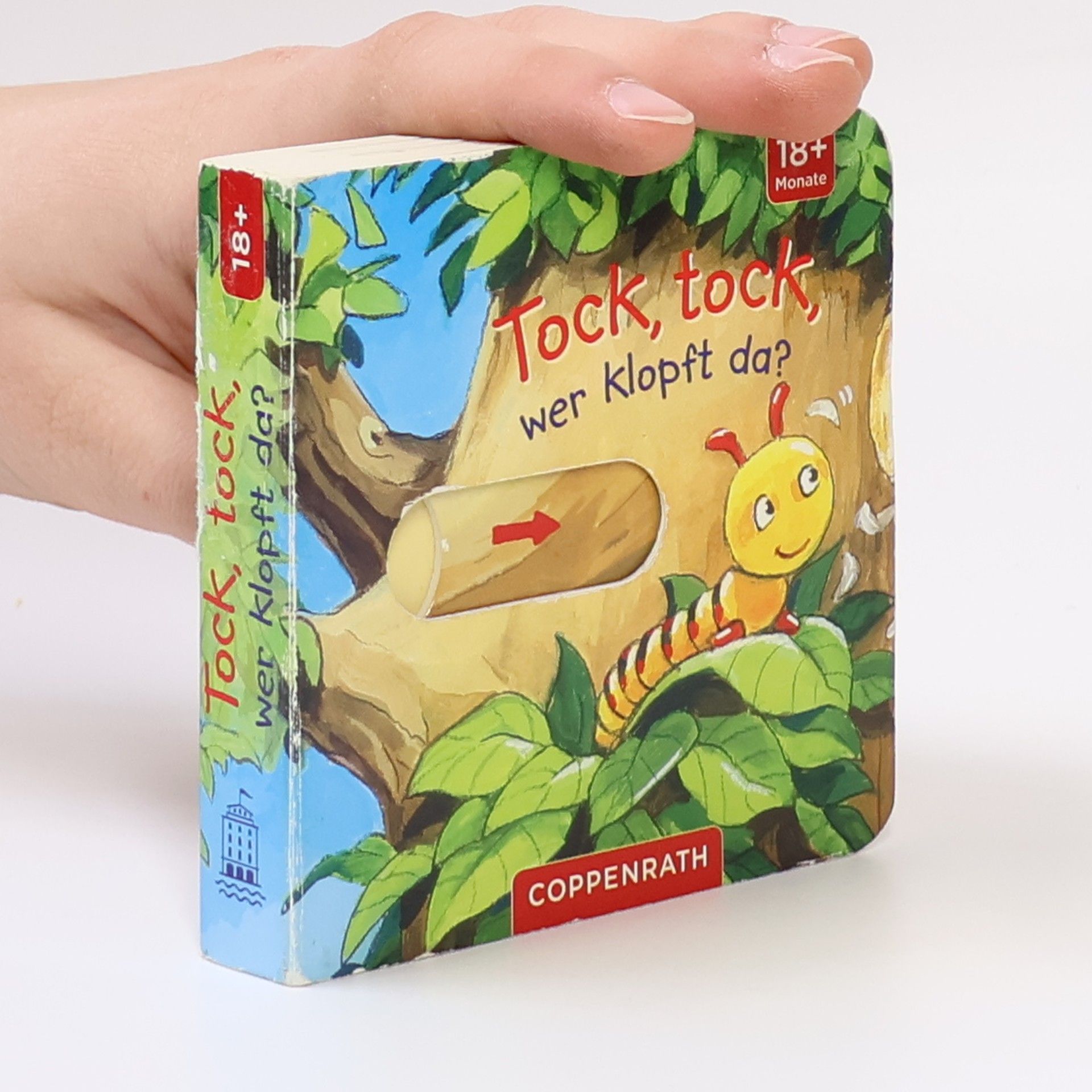 Antje Flad Tock, tock, wer klopft da?