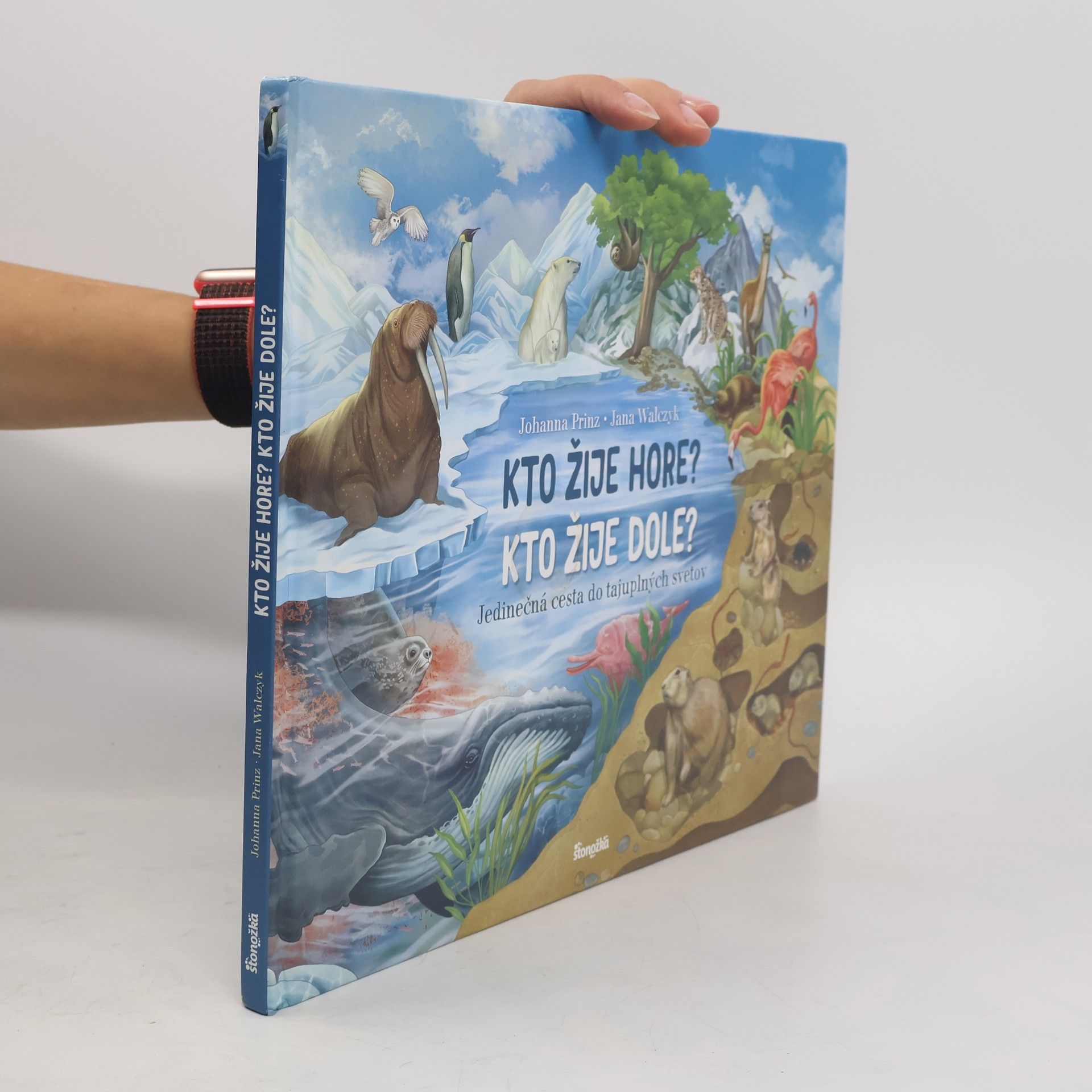 Kto žije hore? Kto žije dole?