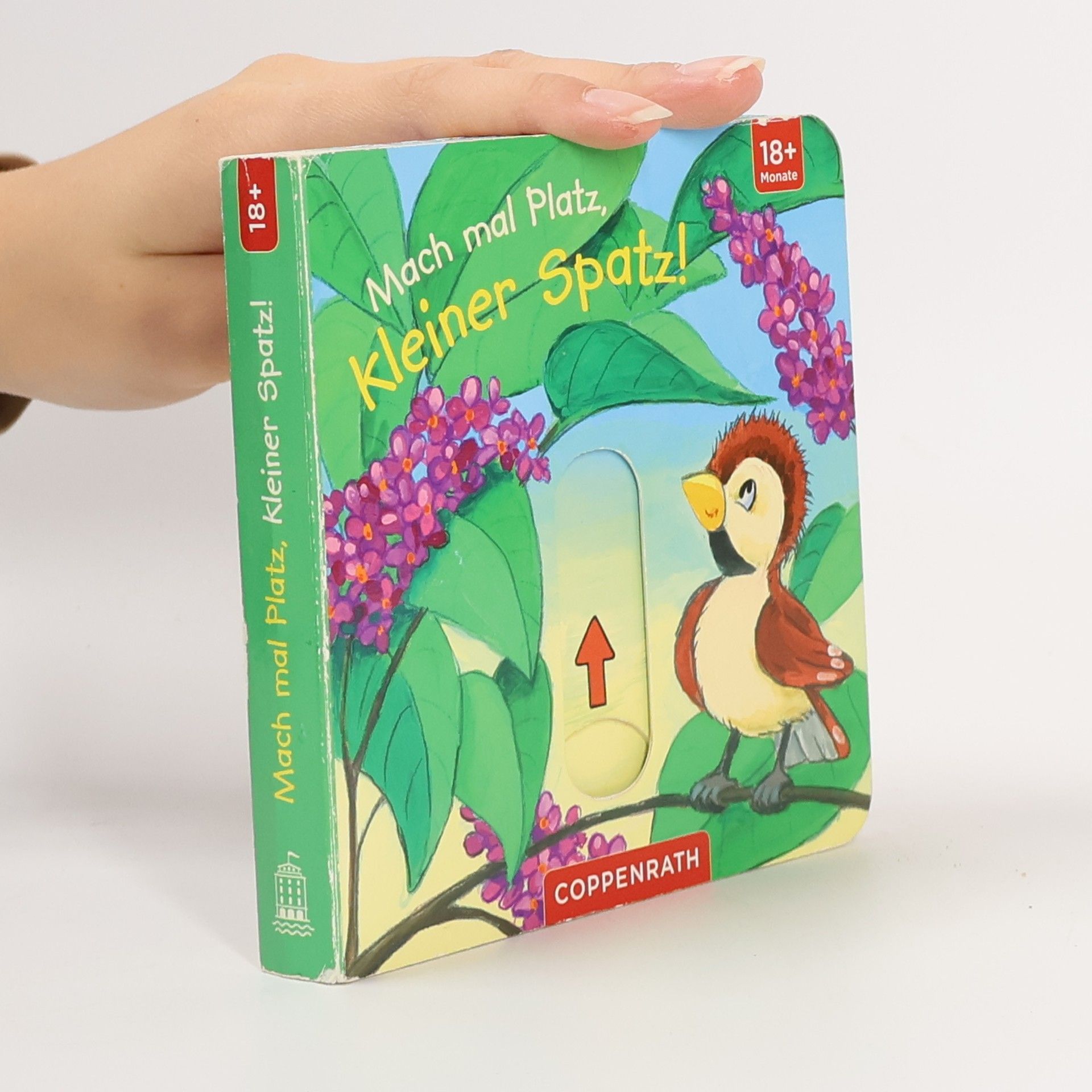 Anna Taube Mach mal Platz, kleiner Spatz!