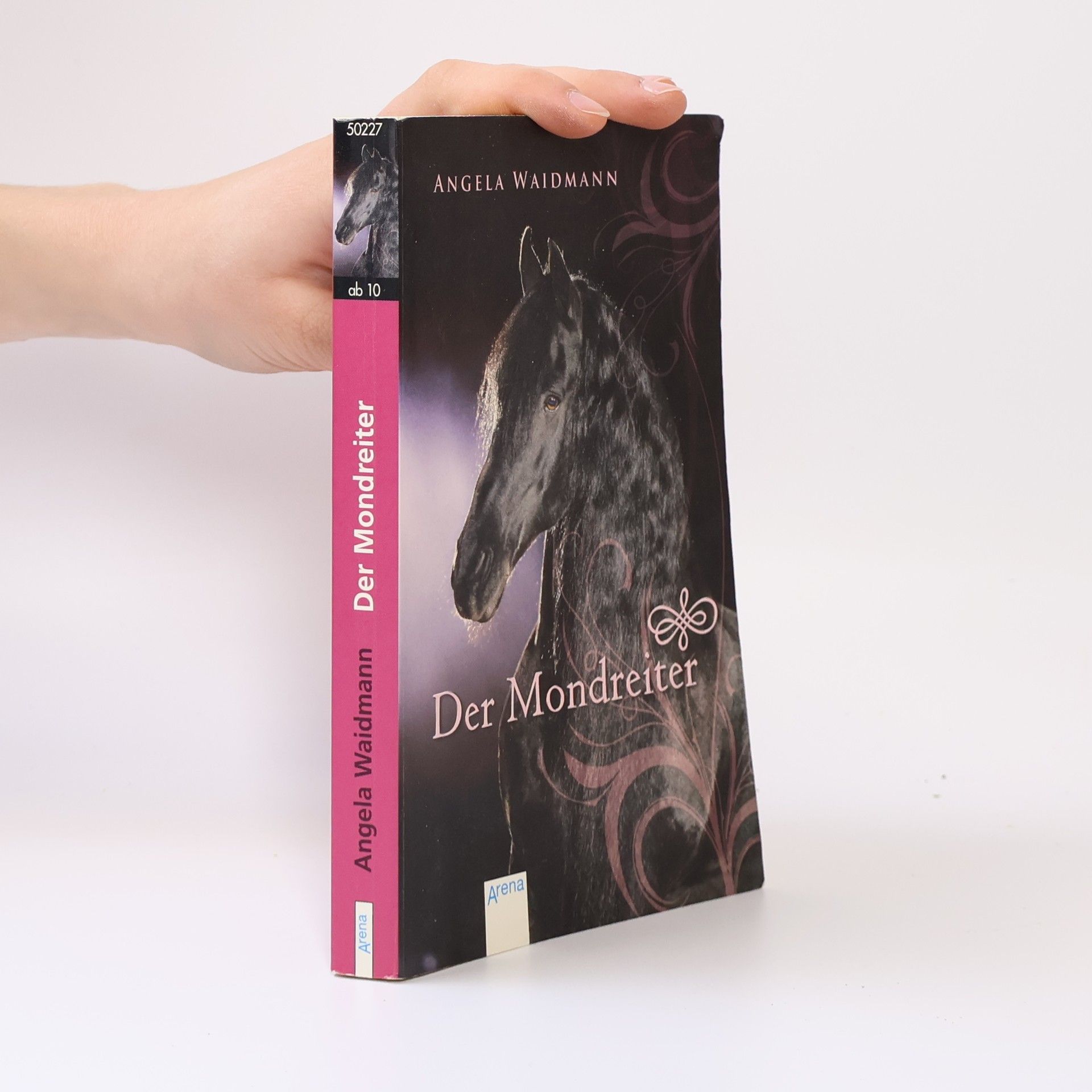 Angela Waidmann Der Mondreiter