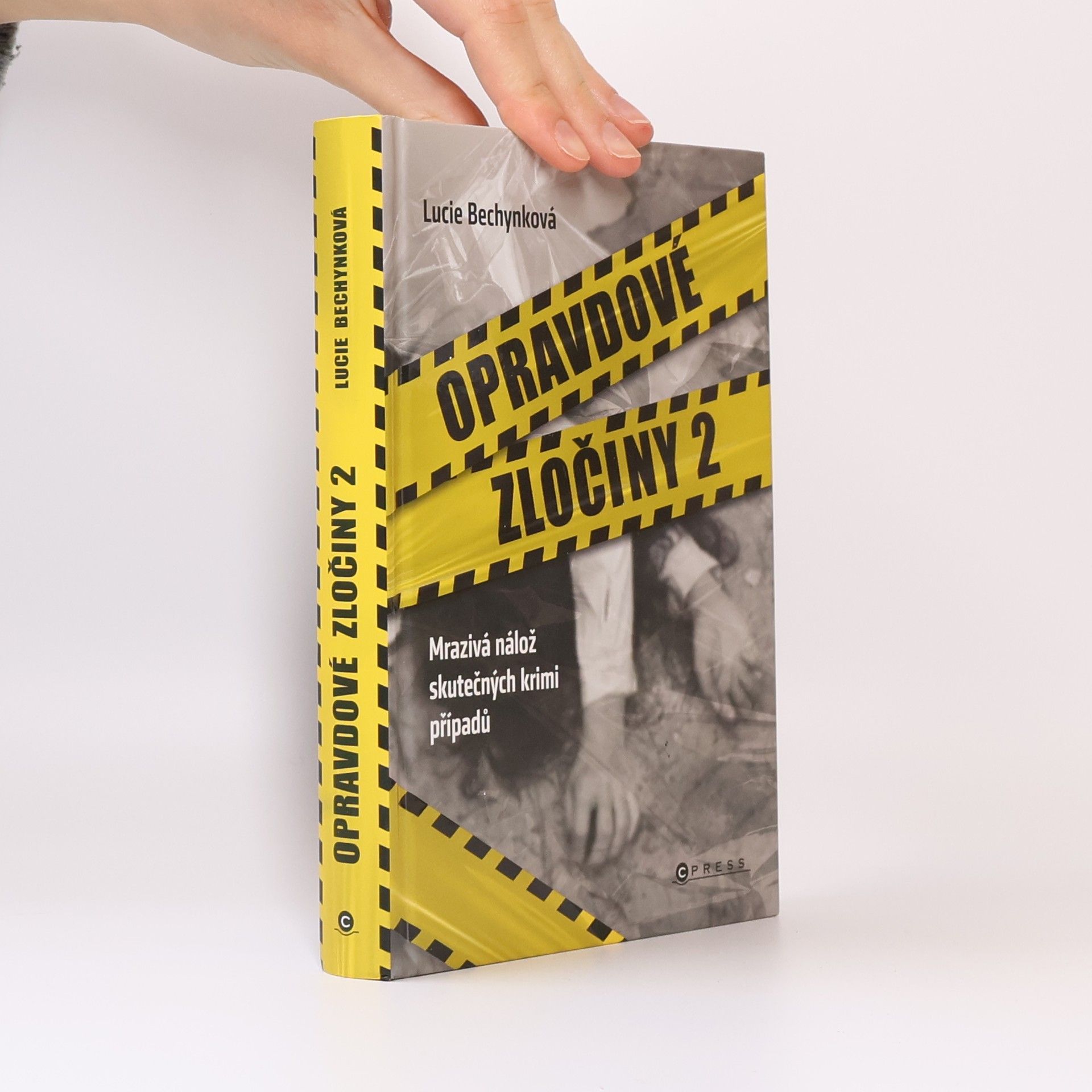 Opravdové zločiny 2