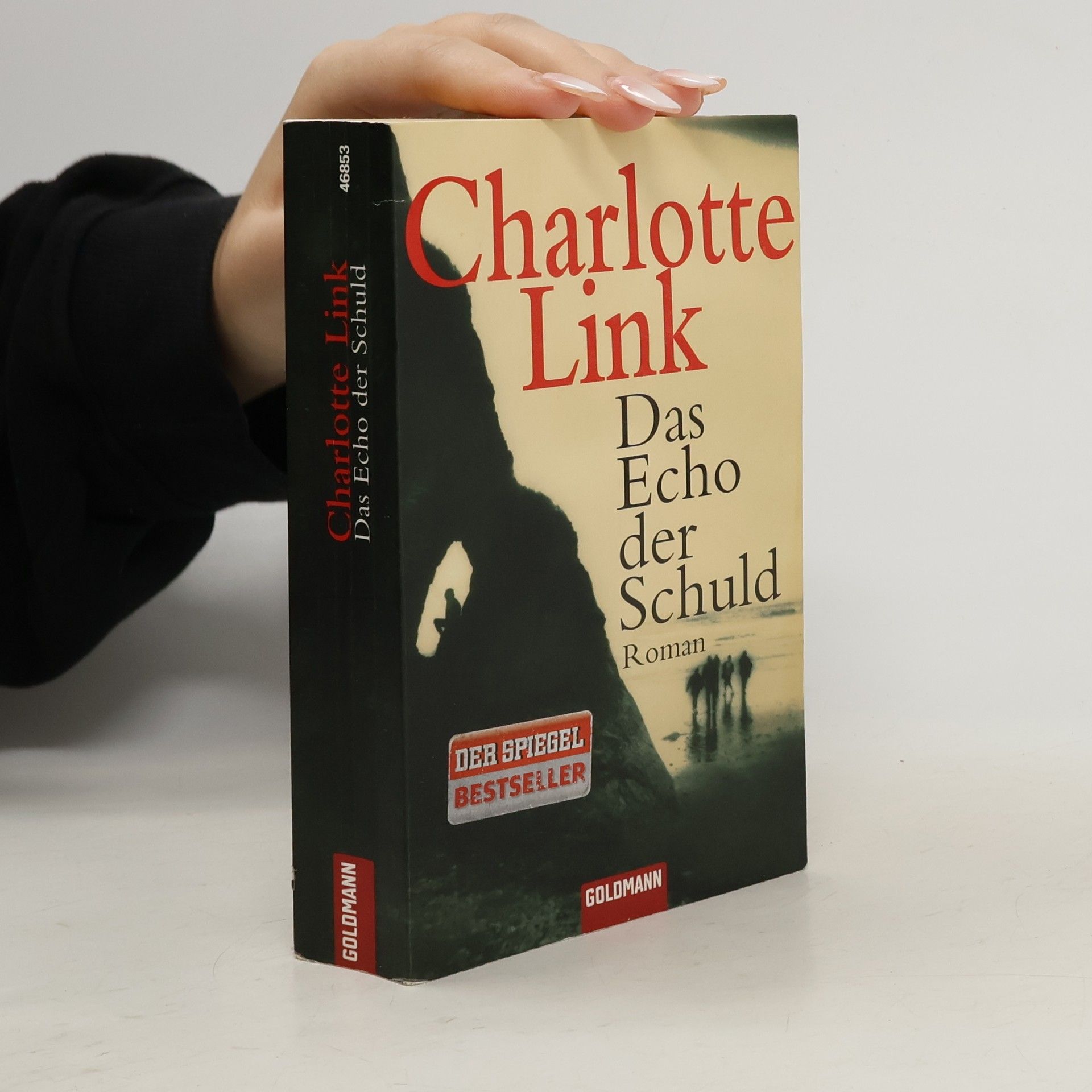 Charlotte Link Das Echo der Schuld
