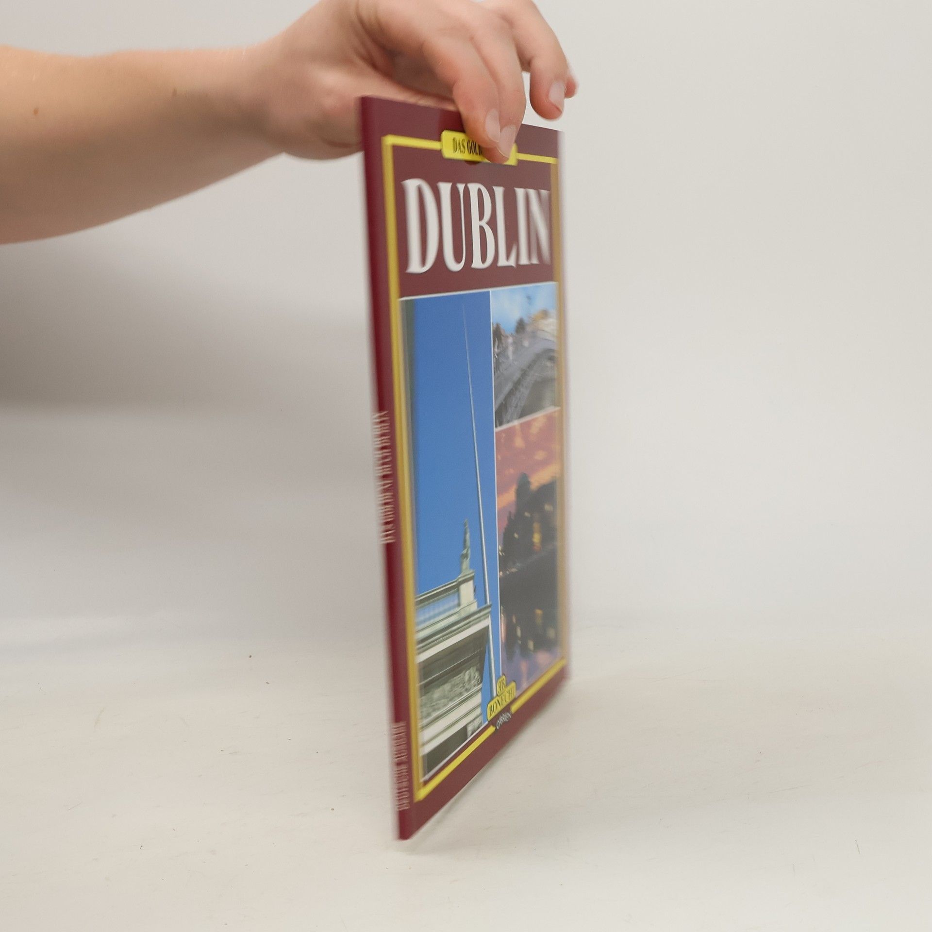 Betty Barrett Das goldene Buch Dublin