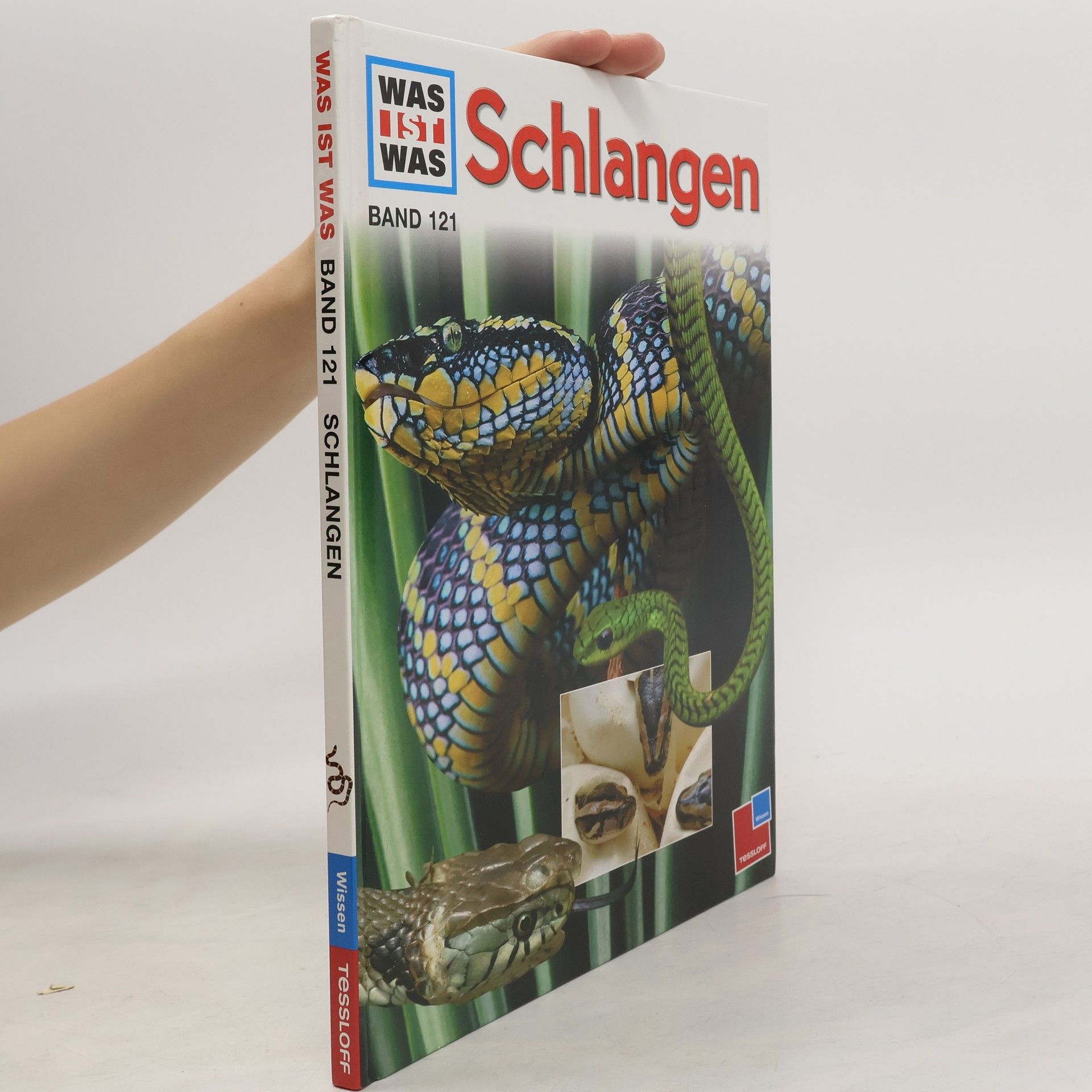 Dietmar Mertens Schlangen