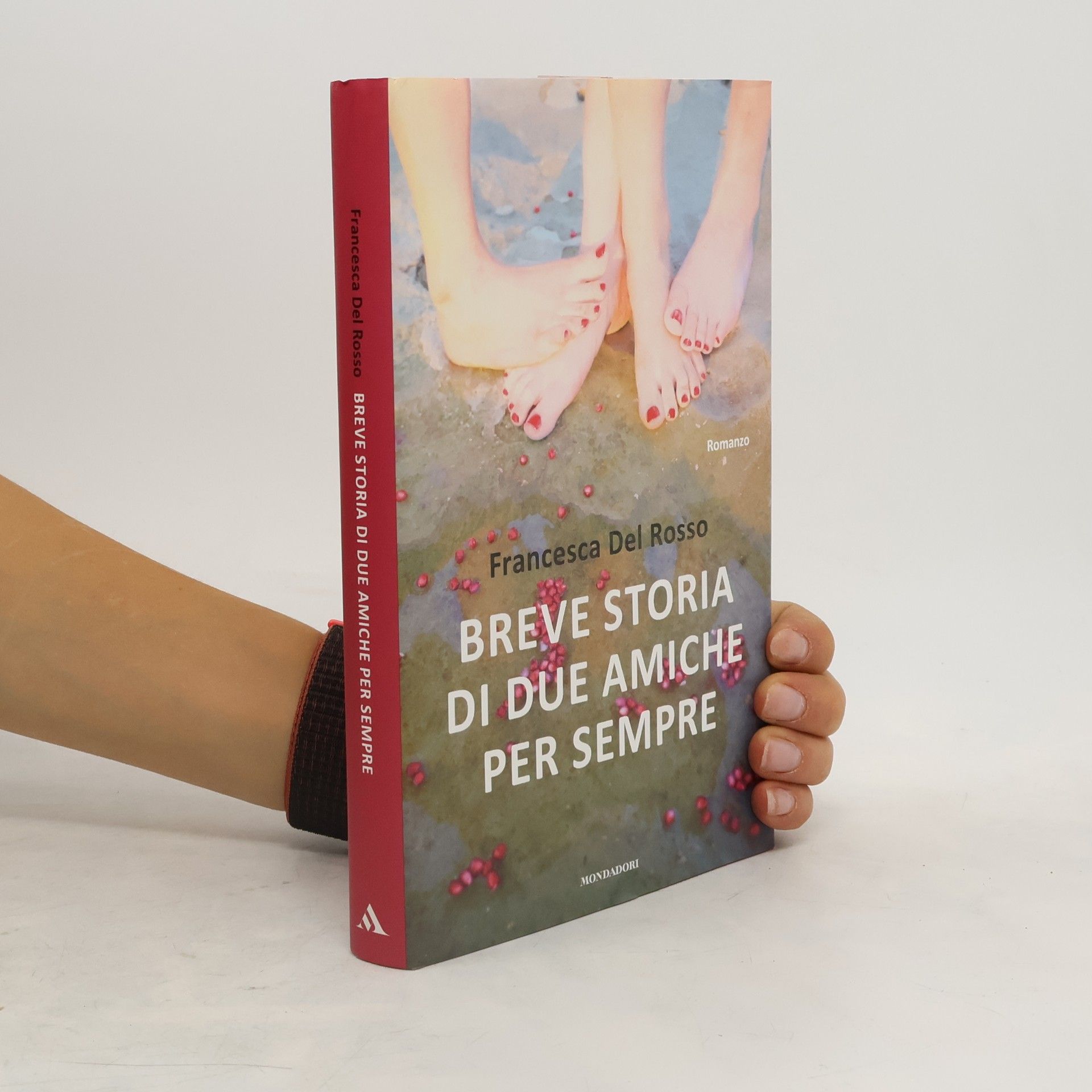 Francesca Del Rosso Breve storia di due amiche per sempre