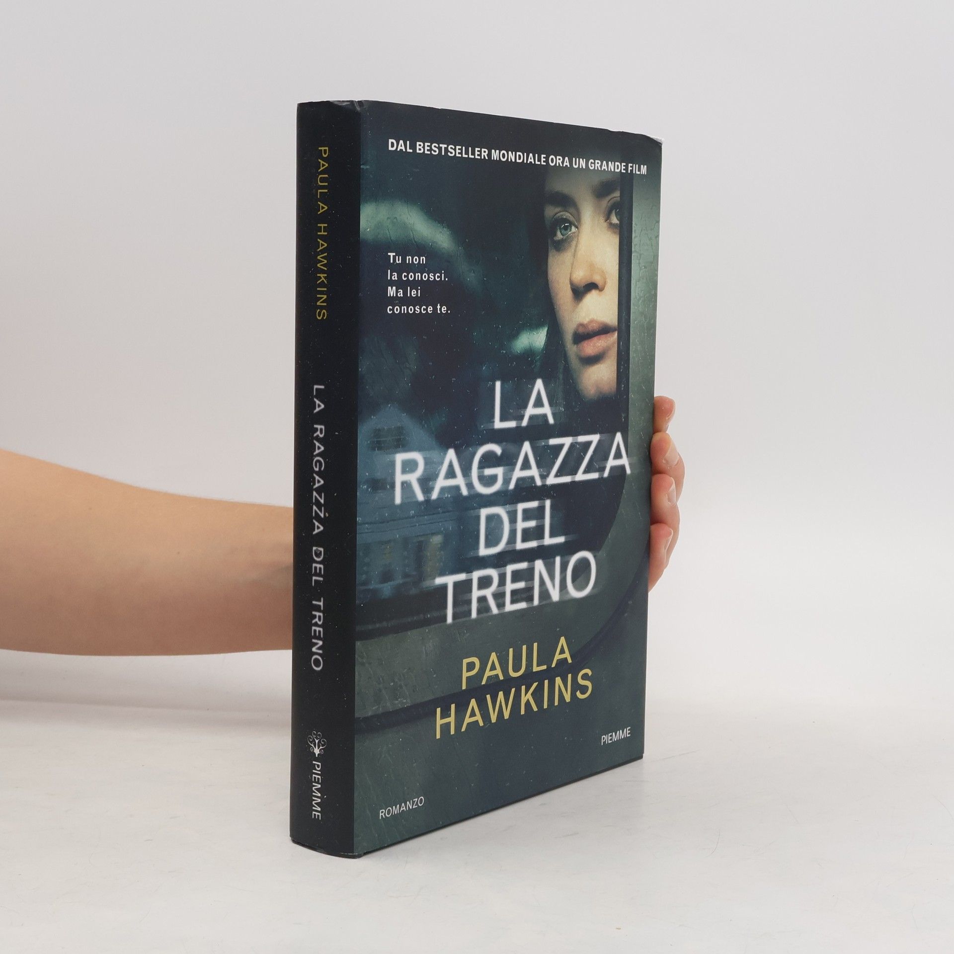 La ragazza del treno