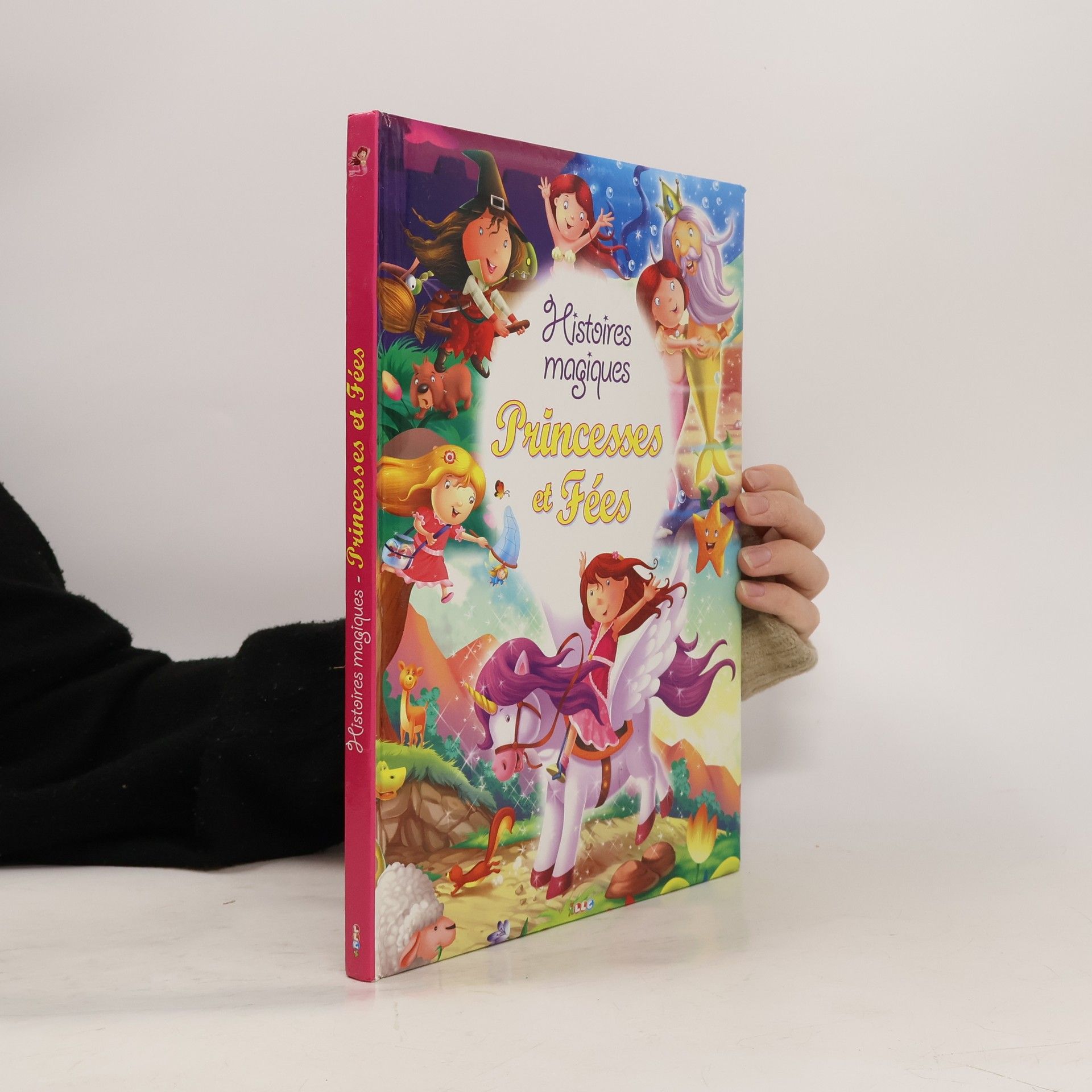 Collectif d'auteurs Princesses et Fées