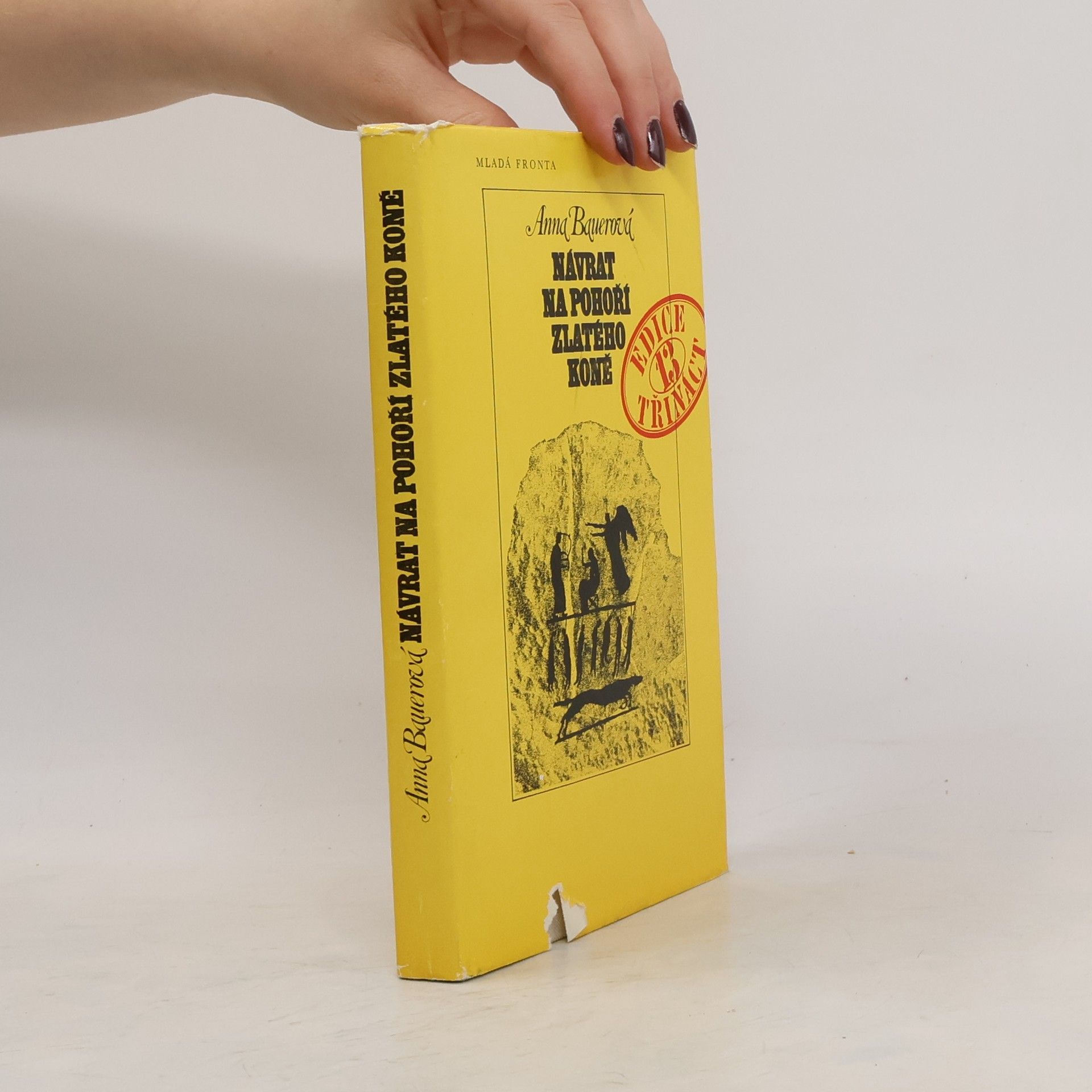 Anna Bauerová Návrat na pohoří Zlatého koně