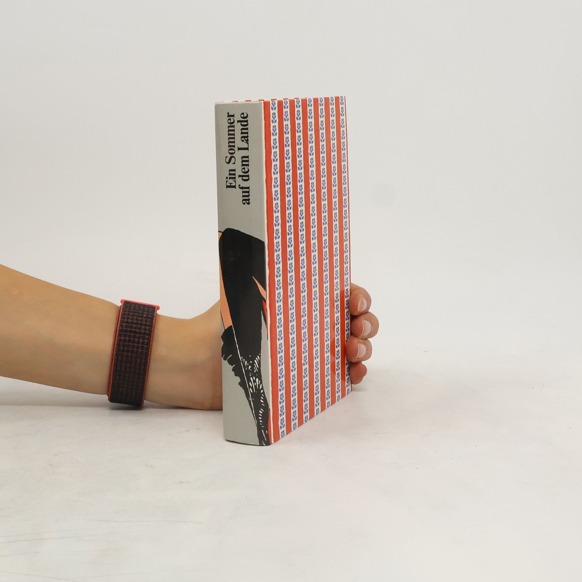 Autorenkollektiv Ein Sommer auf dem Lande