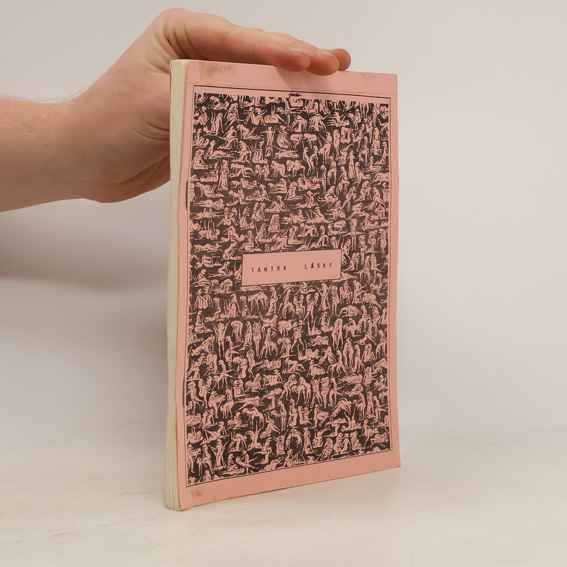 Kolektiv autorů Tantra lásky