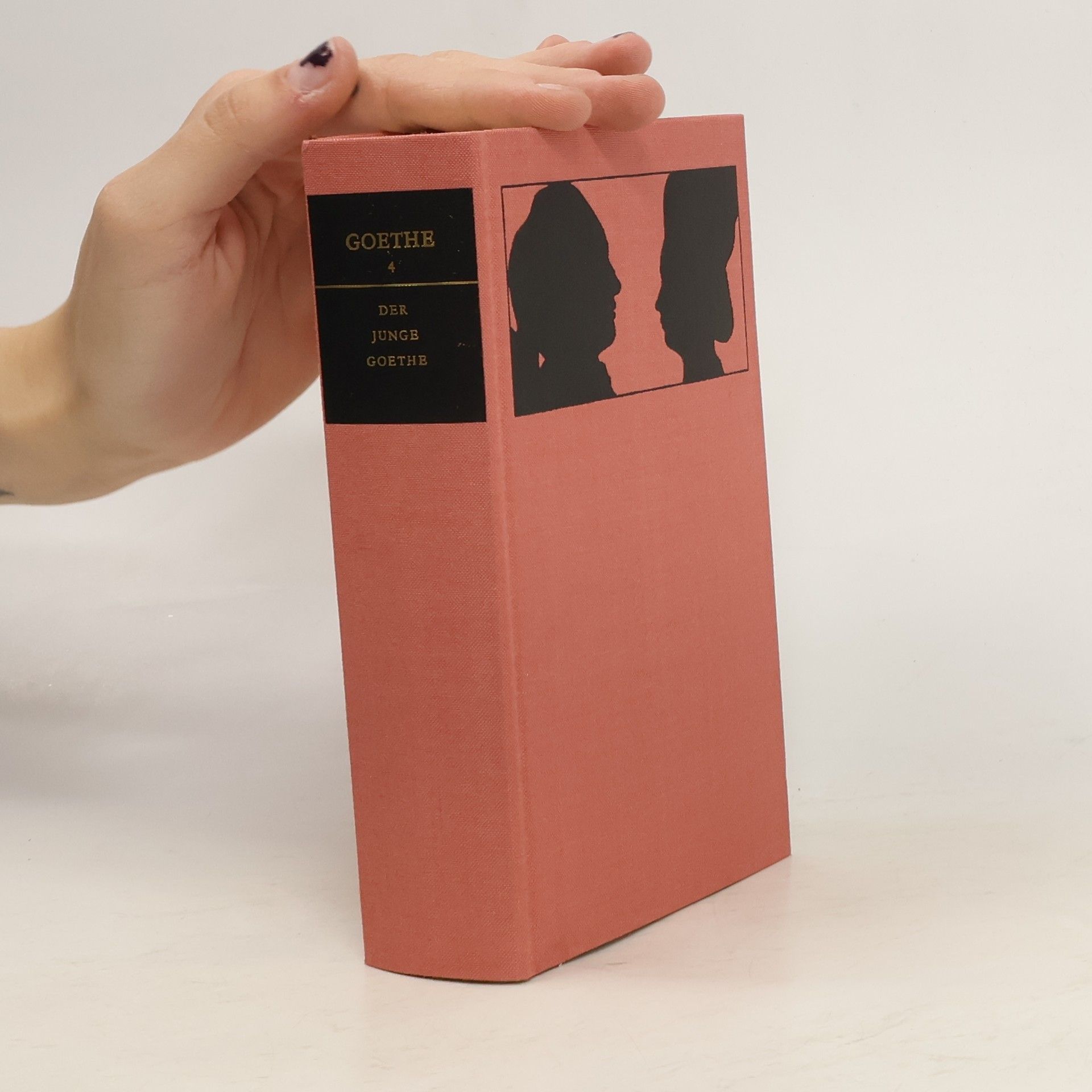 Johann Wolfgang von Goethe Der junge Goethe