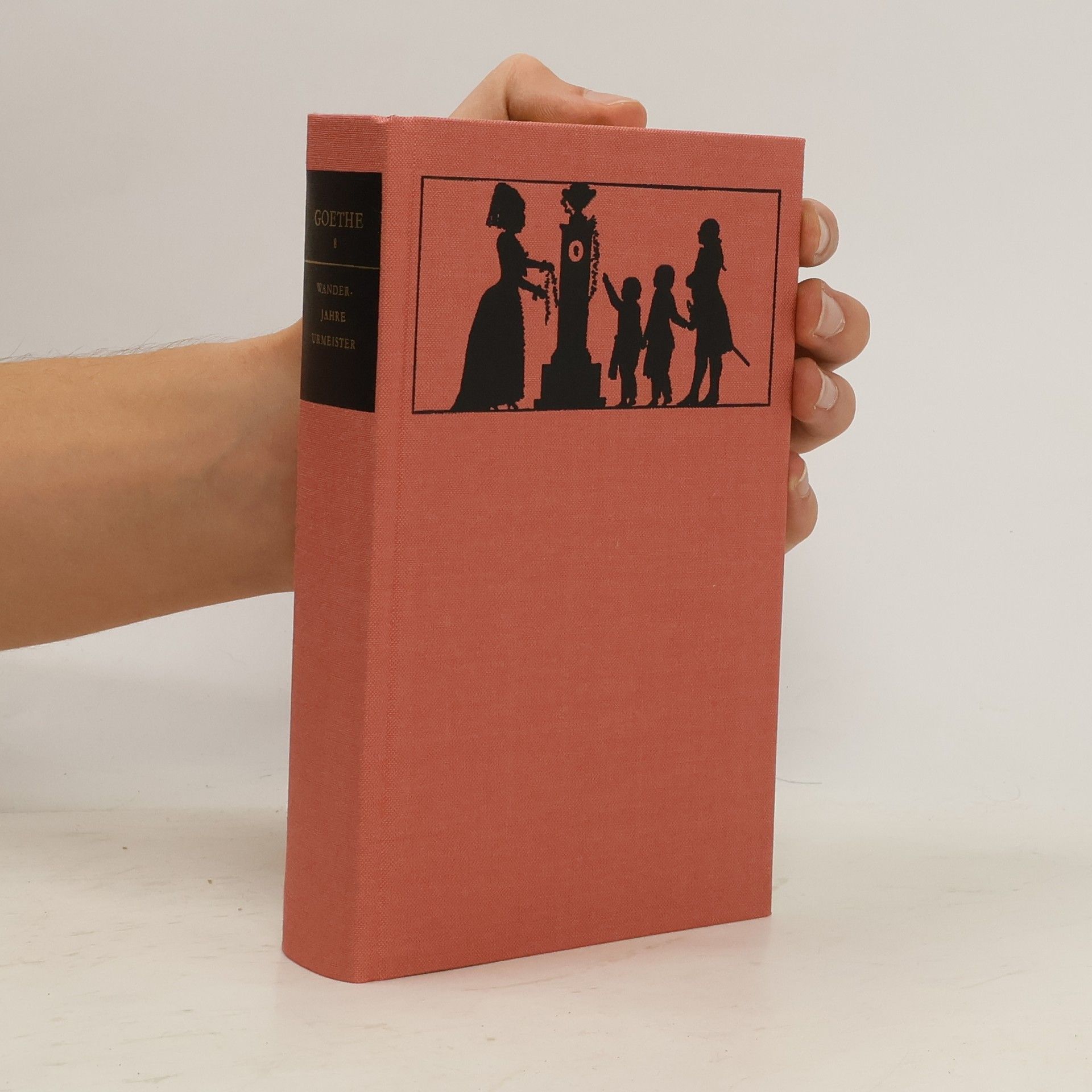 Autorenkollektiv Goethe. Wanderjahre Urmeister