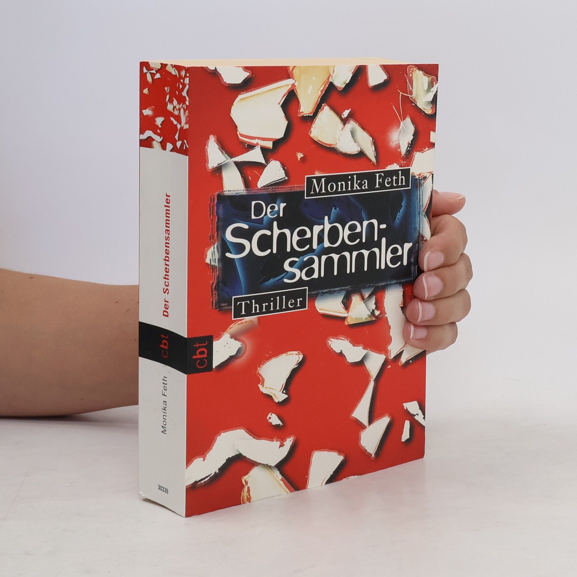 Monika Feth Der Scherbensammler