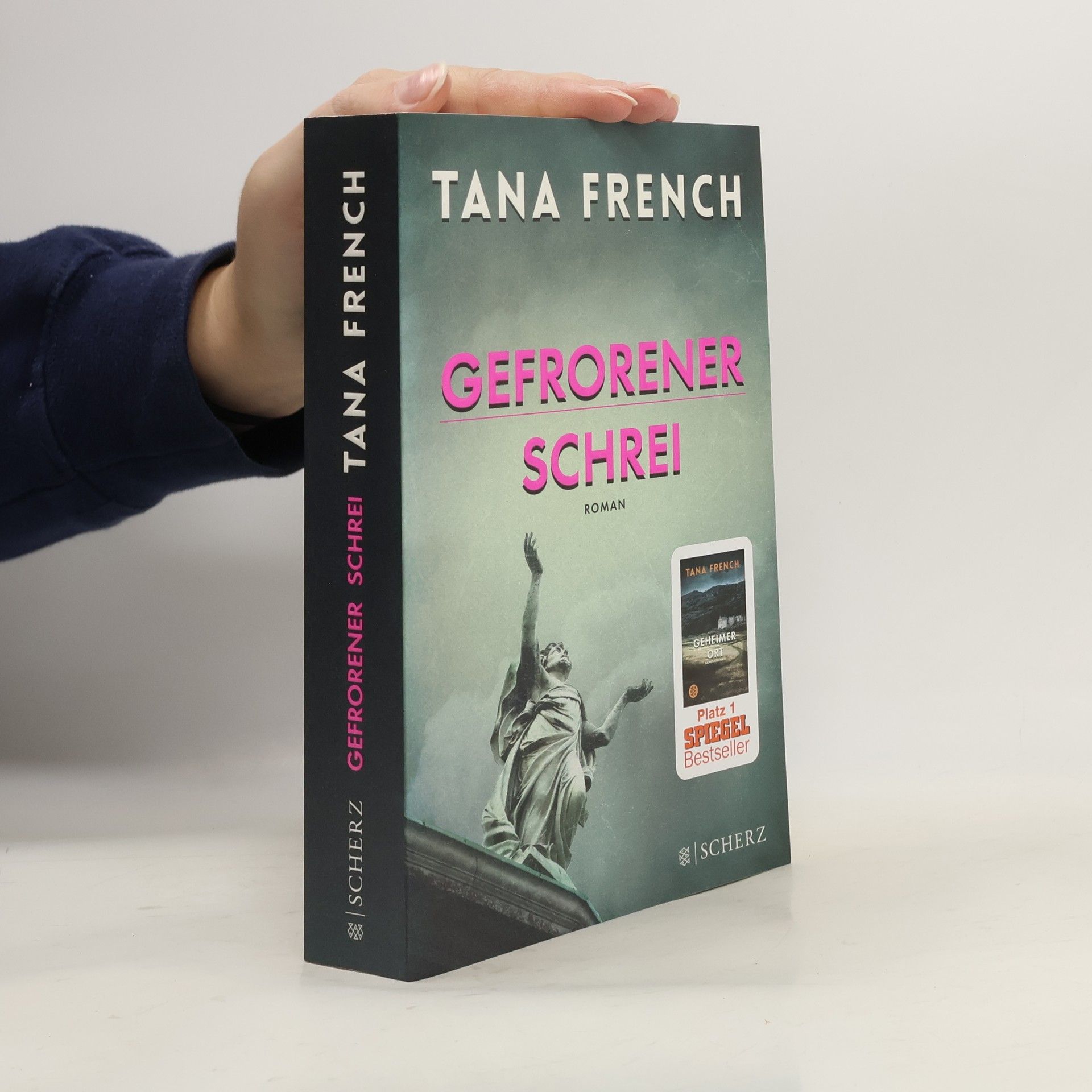 Tana French Gefrorener Schrei