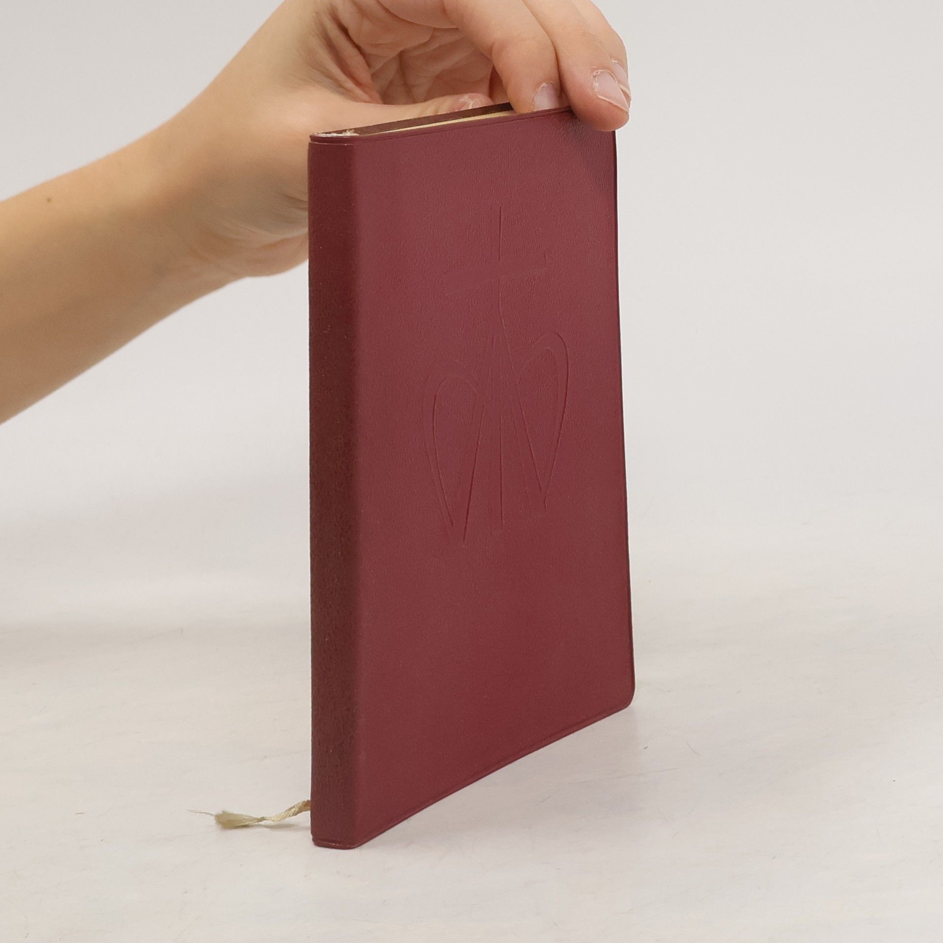 Auteurscollectief Die Pilgerfahrt