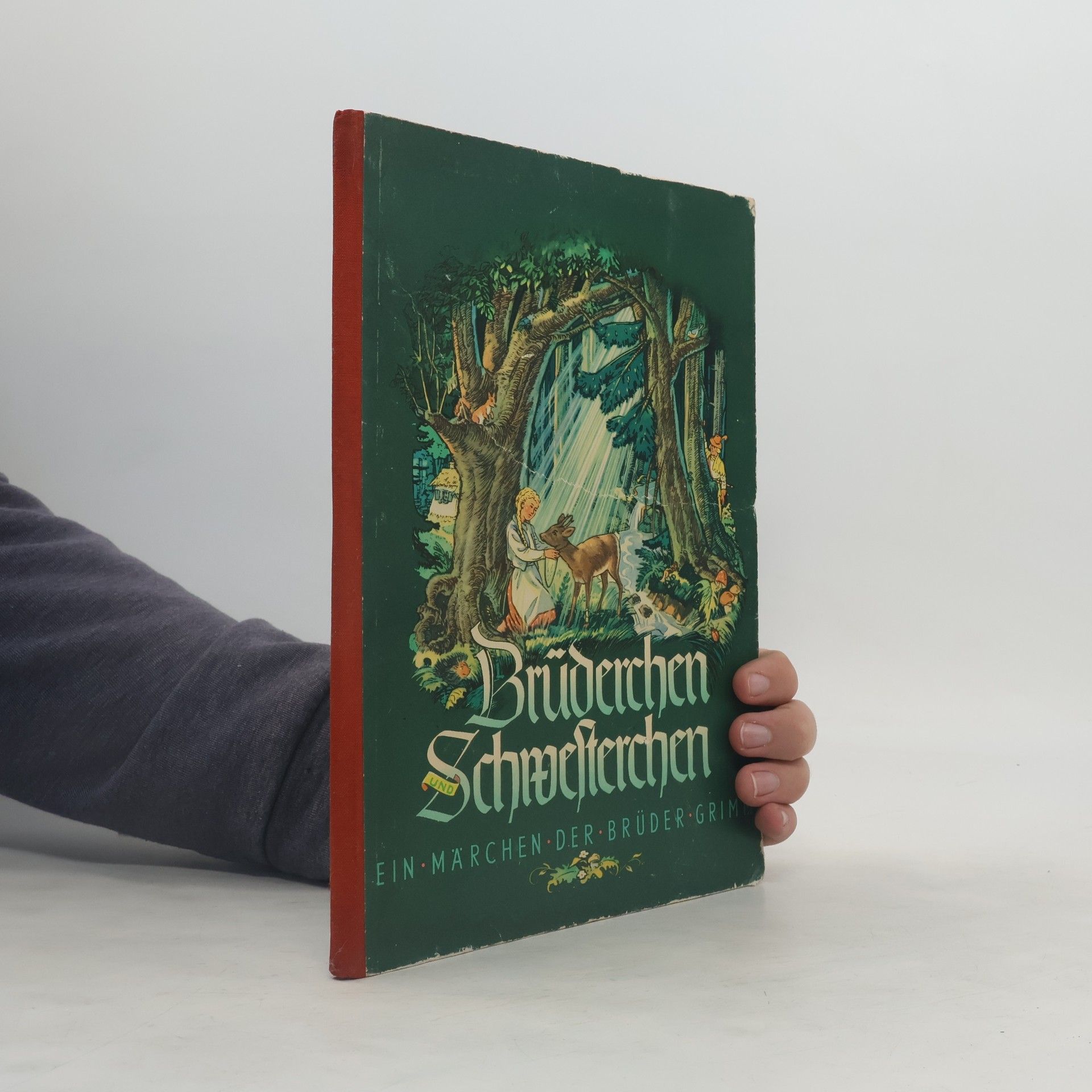 Collectif d'auteurs Brüderchen und Schwesterchen