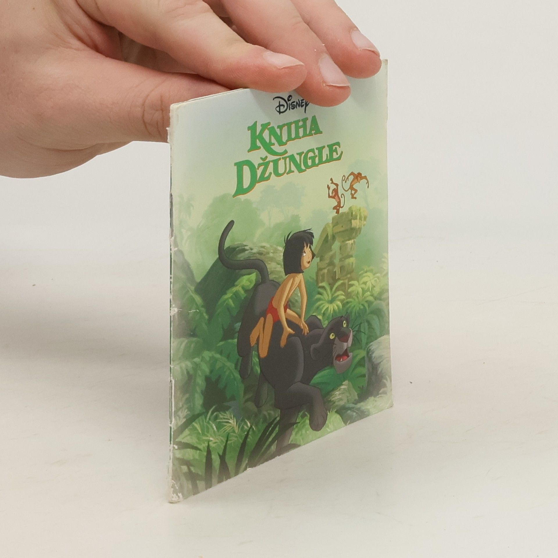 Collectif d'auteurs Kniha Džungle