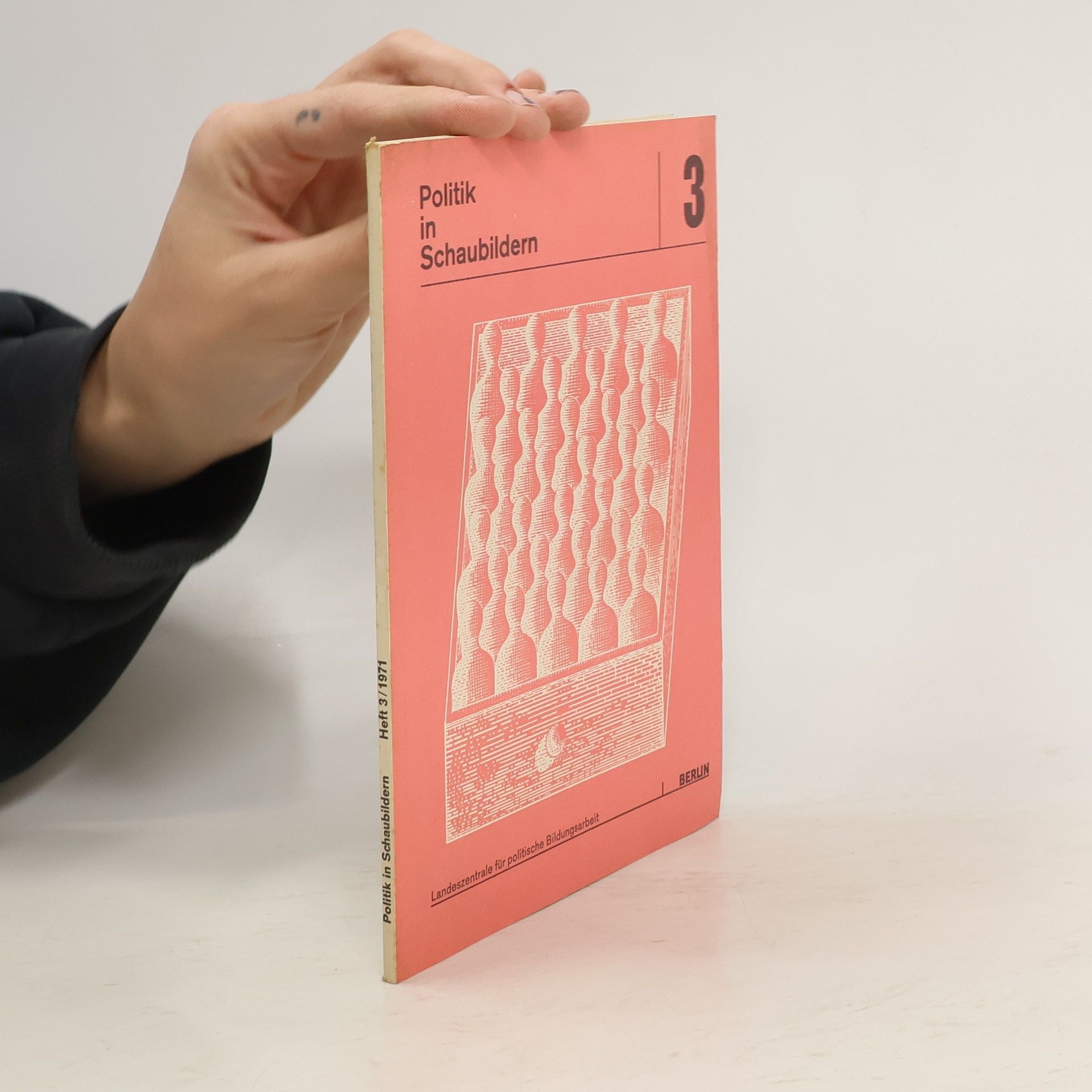 Autores varios Politik in Schaubildern 3