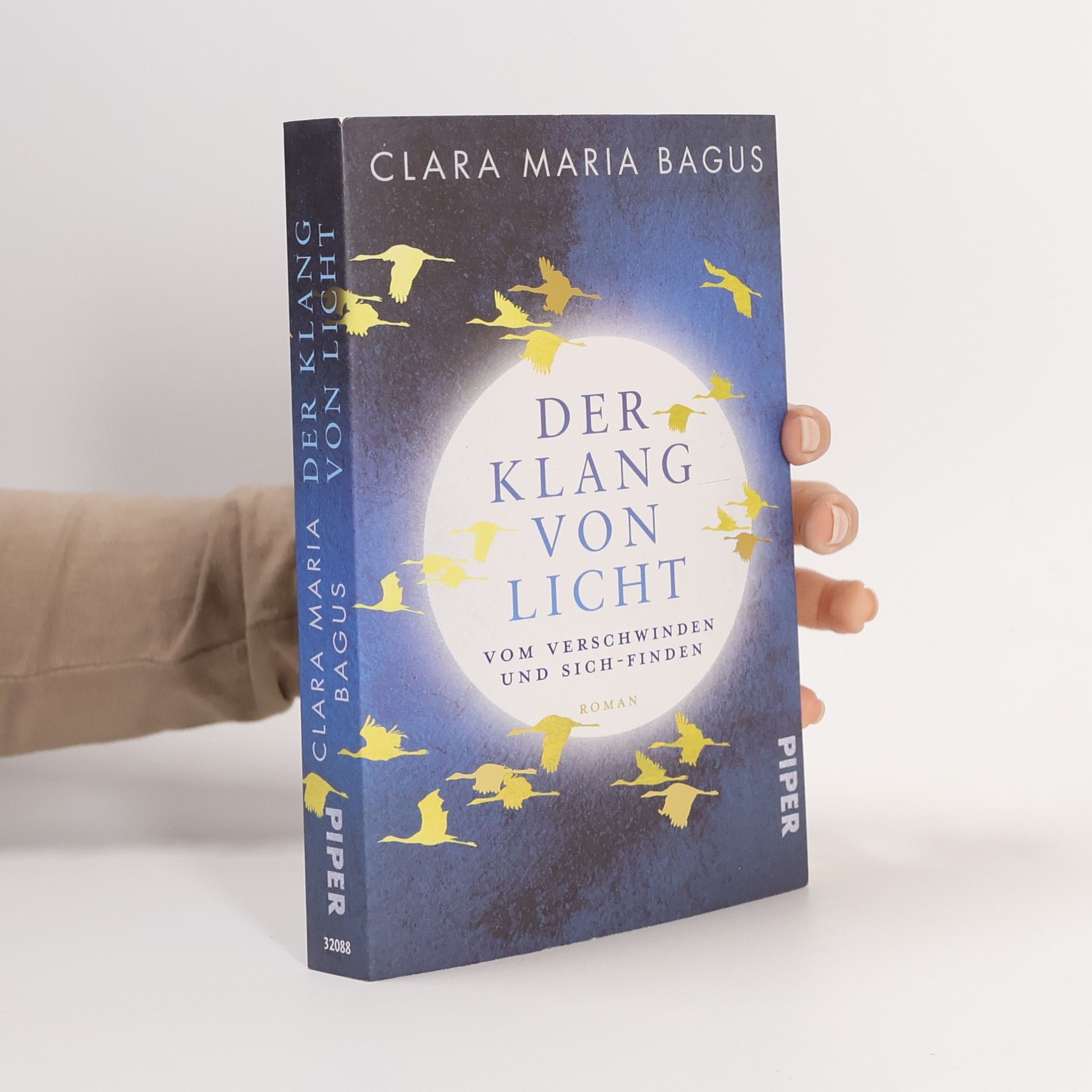 Clara Maria Bagus Der Klang von Licht