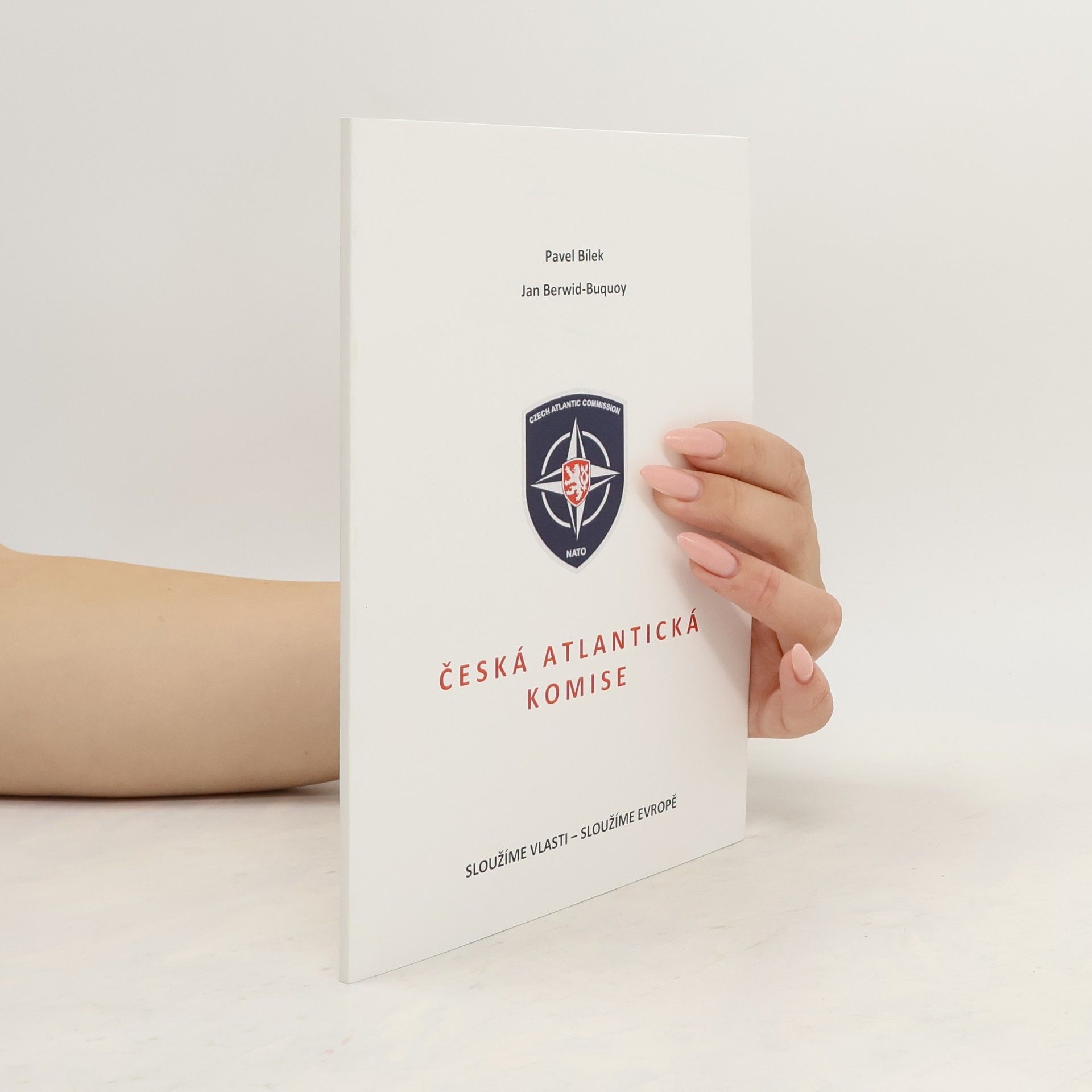 Česká atlantická komise