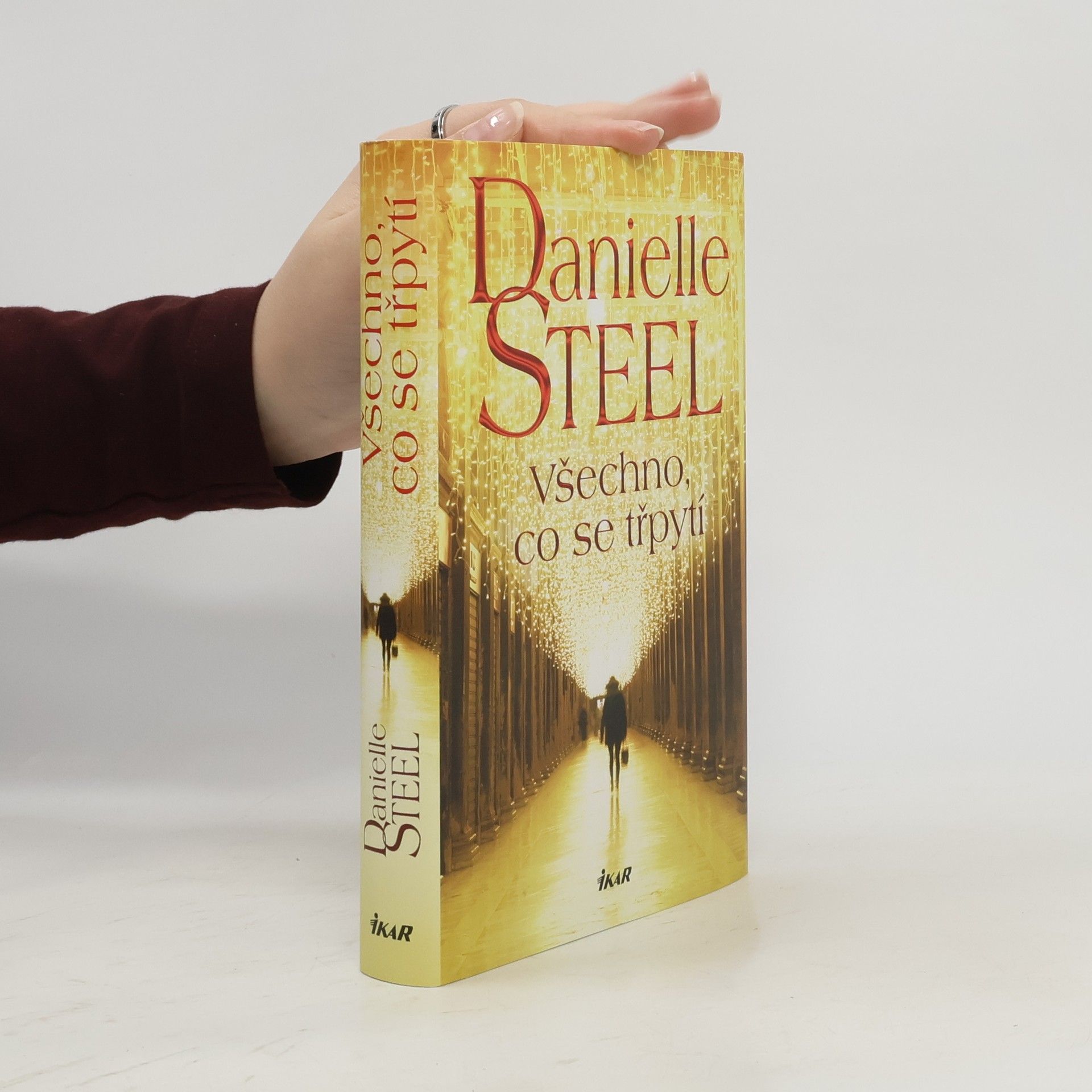 Danielle Steel Všechno, co se třpytí