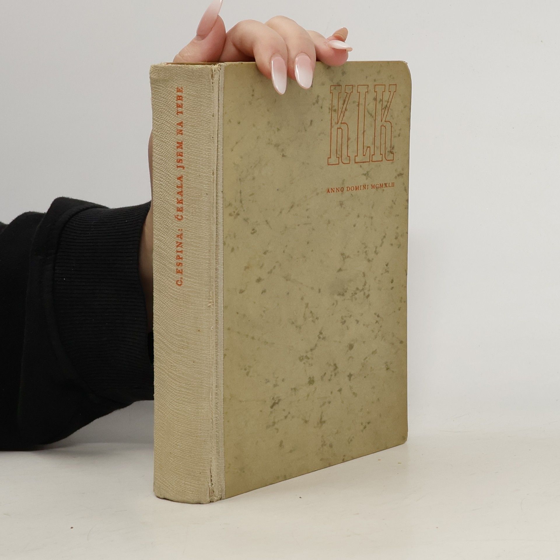 Čekala jsem na tebe