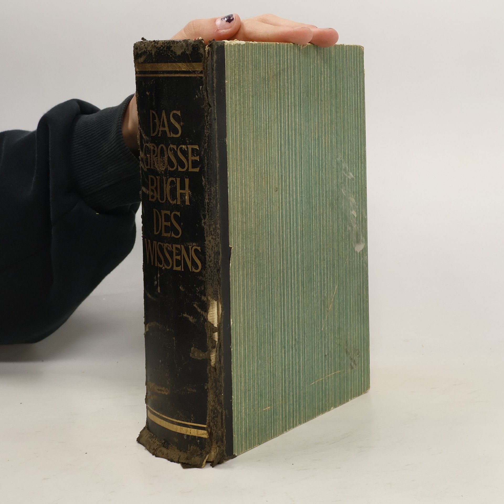 AA.VV. Das grosse buch des Wissens