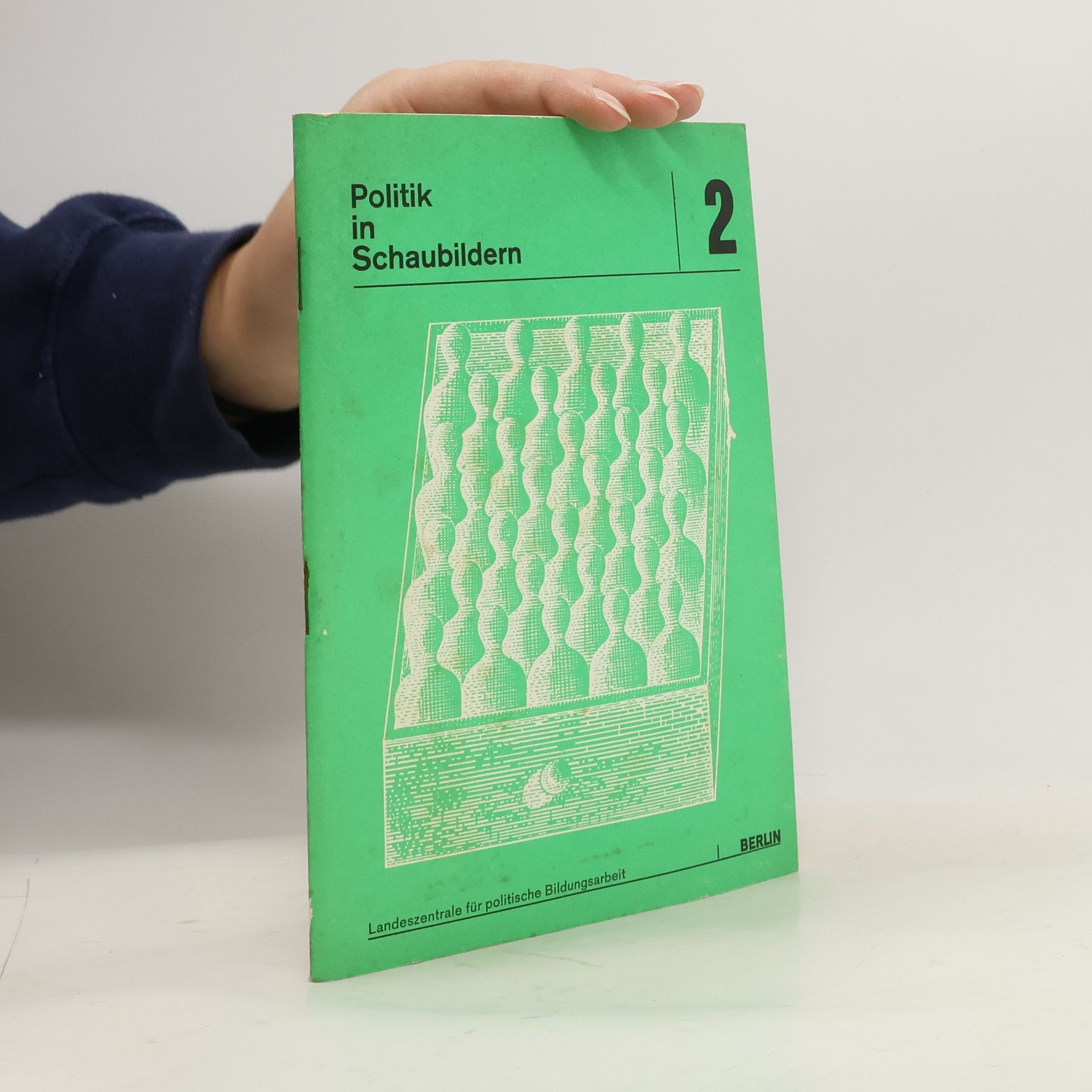 Autores varios Politik in Schaubildern 2