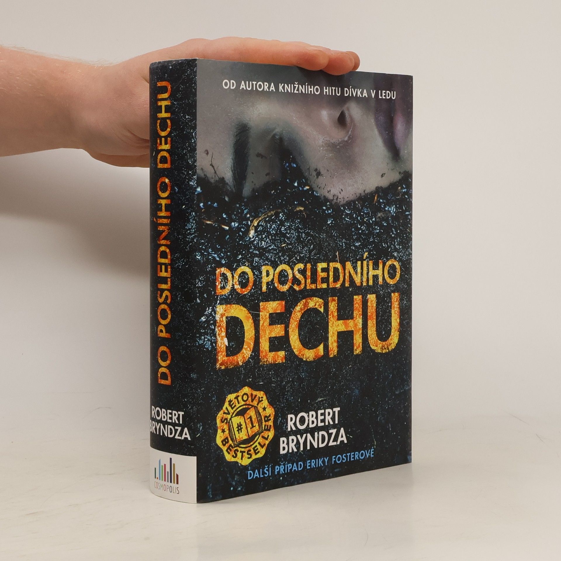 Robert Bryndza Do posledního dechu