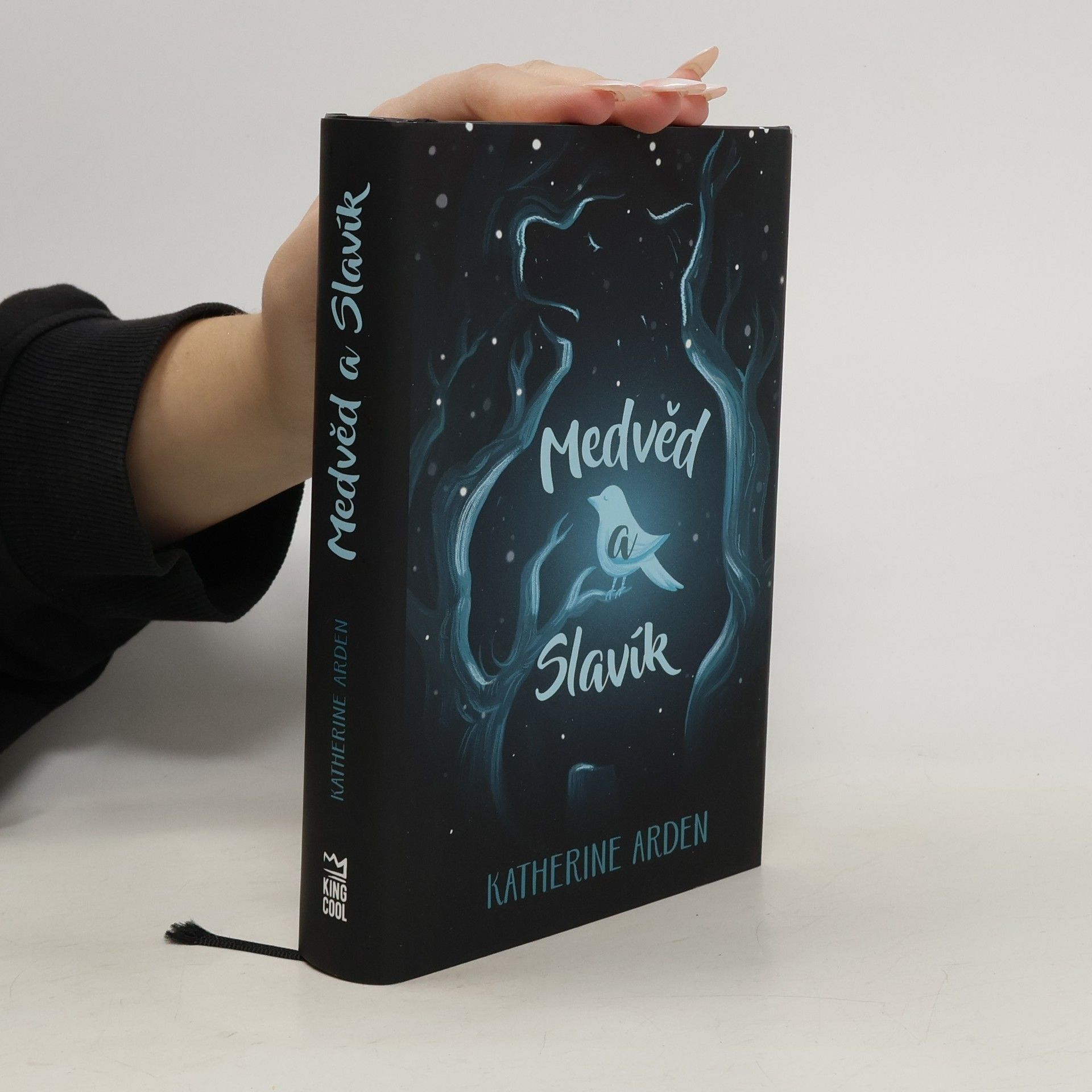 Katherine Arden Medvěd a Slavík