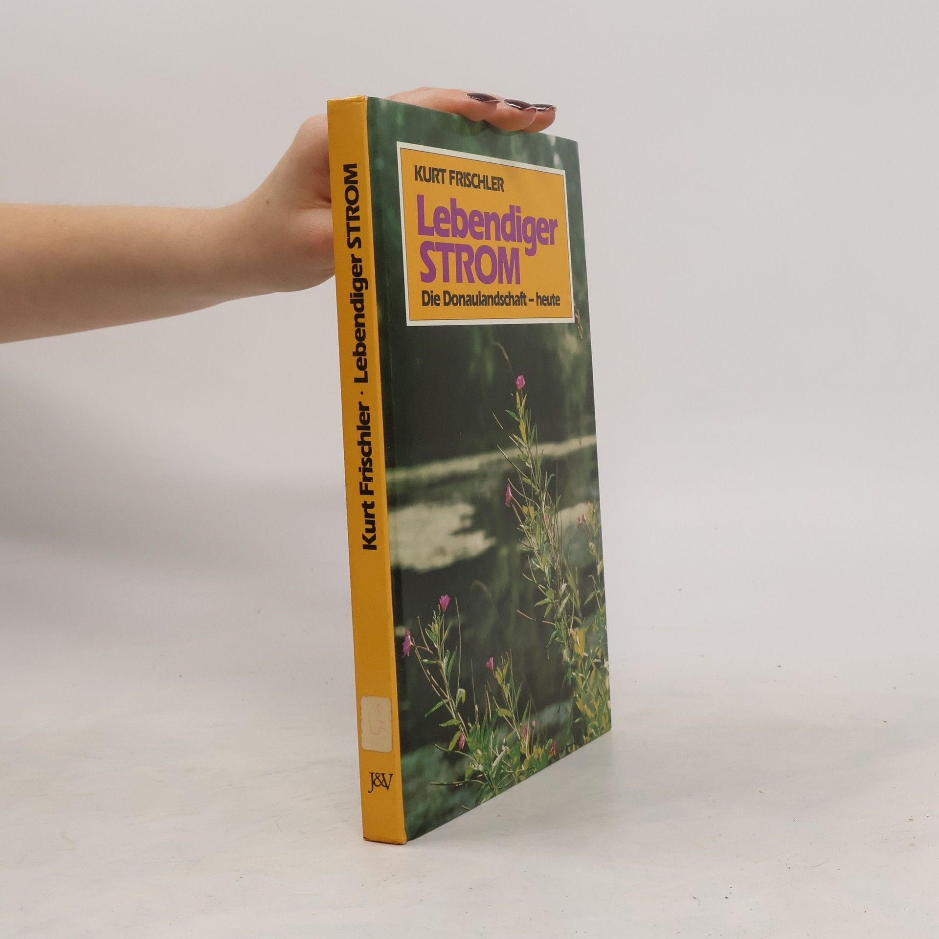 Kurt Frischler Lebendiger Strom