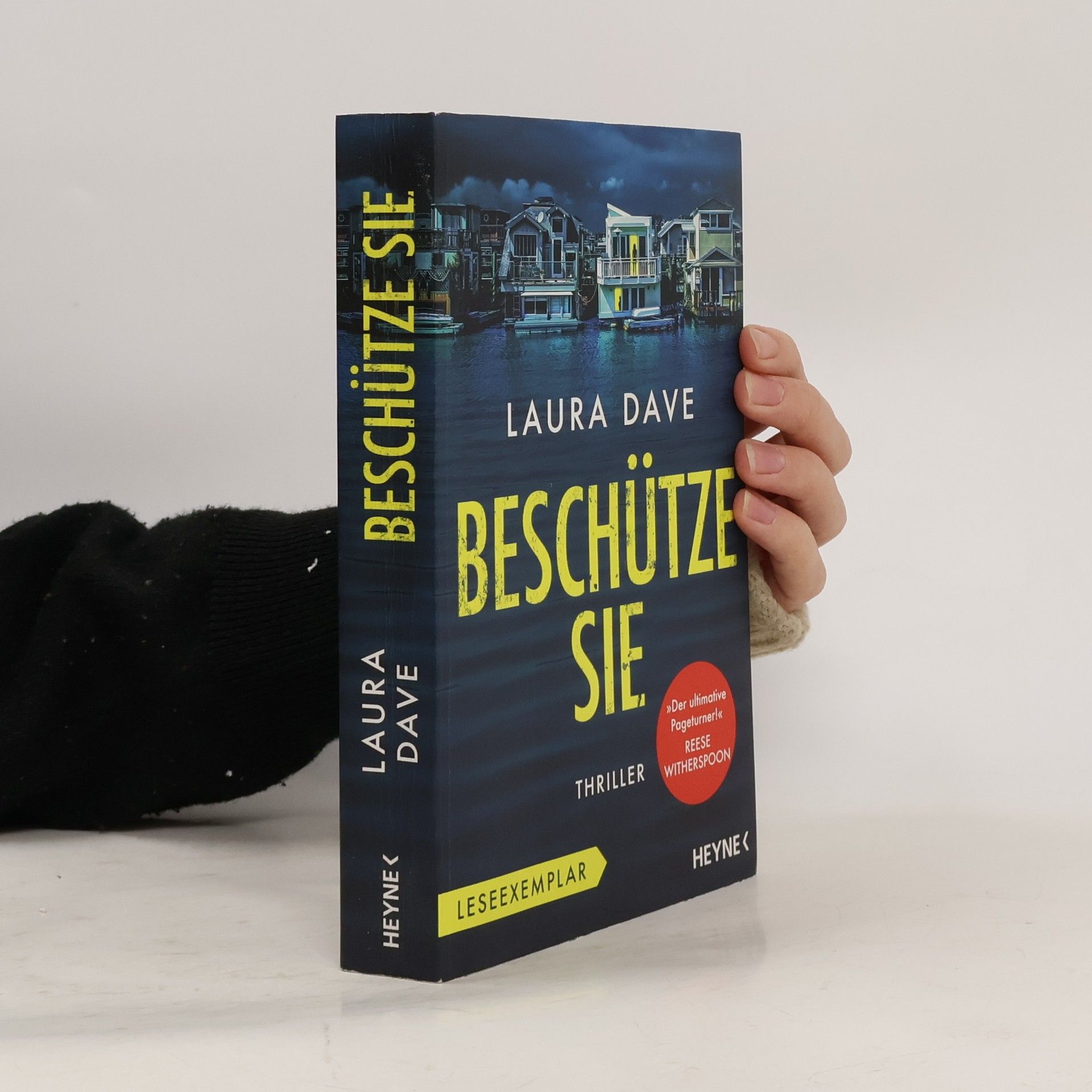 Laura Dave Beschütze sie