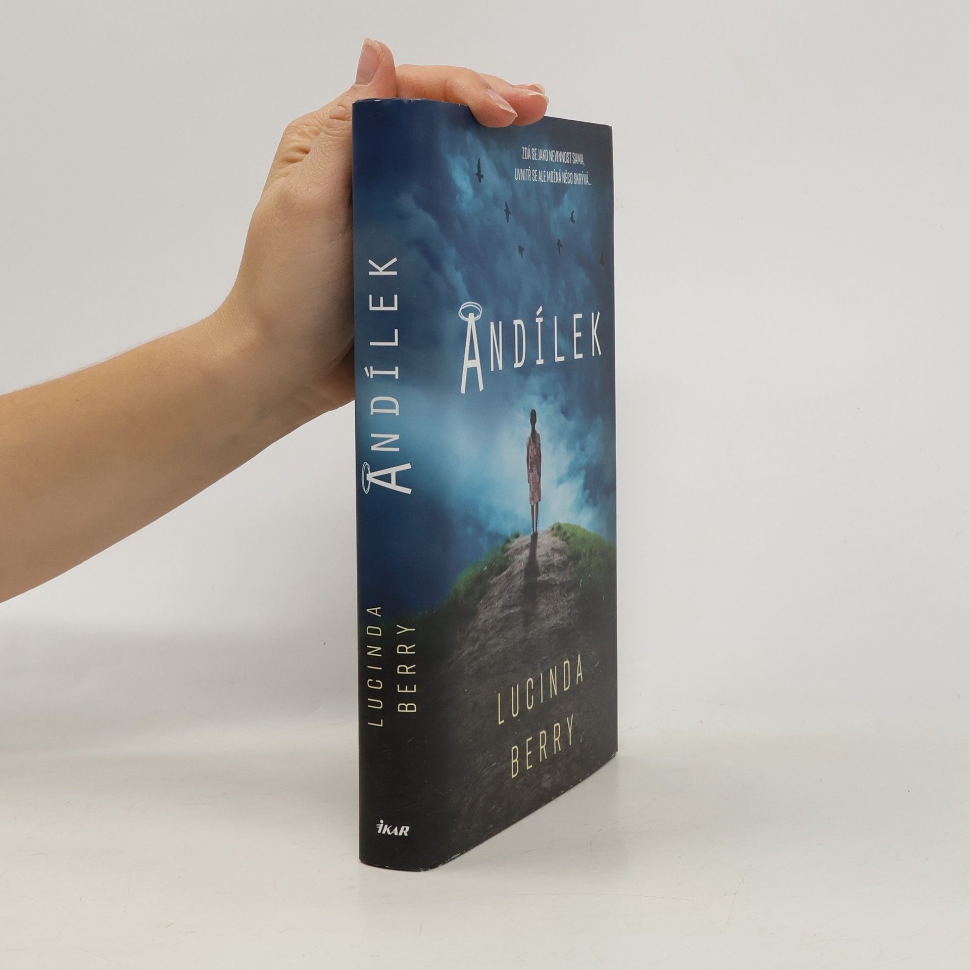 Lucinda Berry Andílek