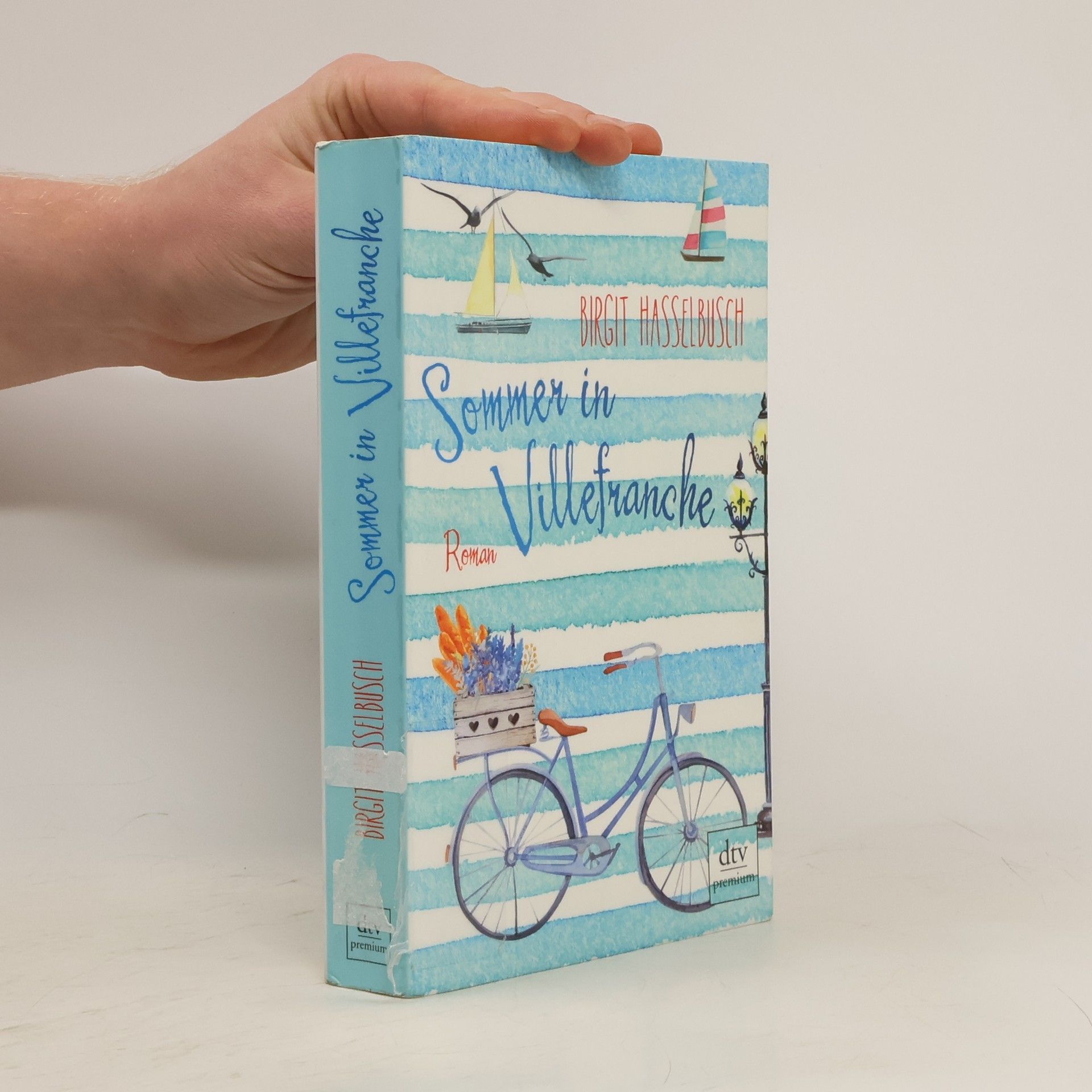 Birgit Hasselbusch Sommer in Villefranche