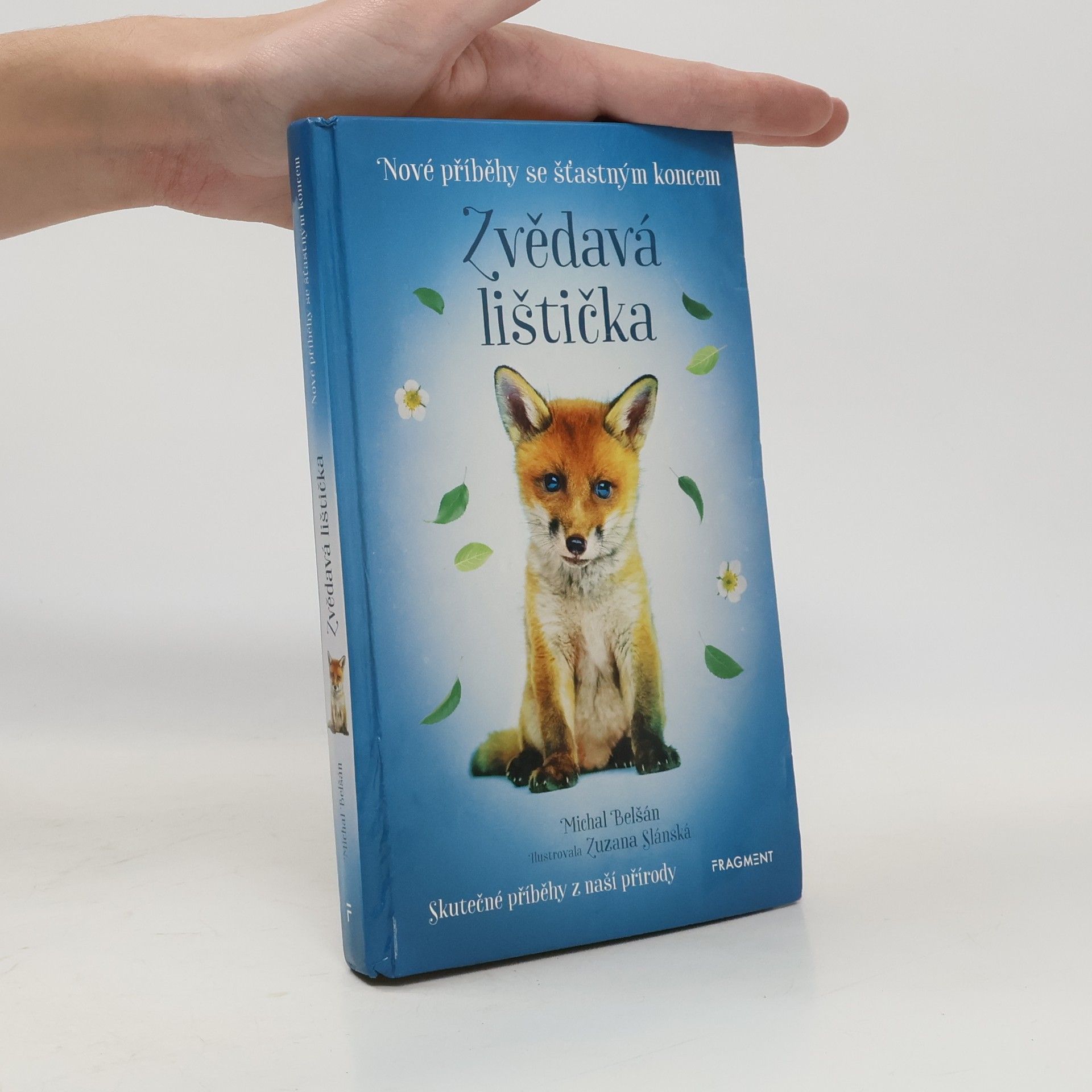 Michal Belšán Zvědavá lištička