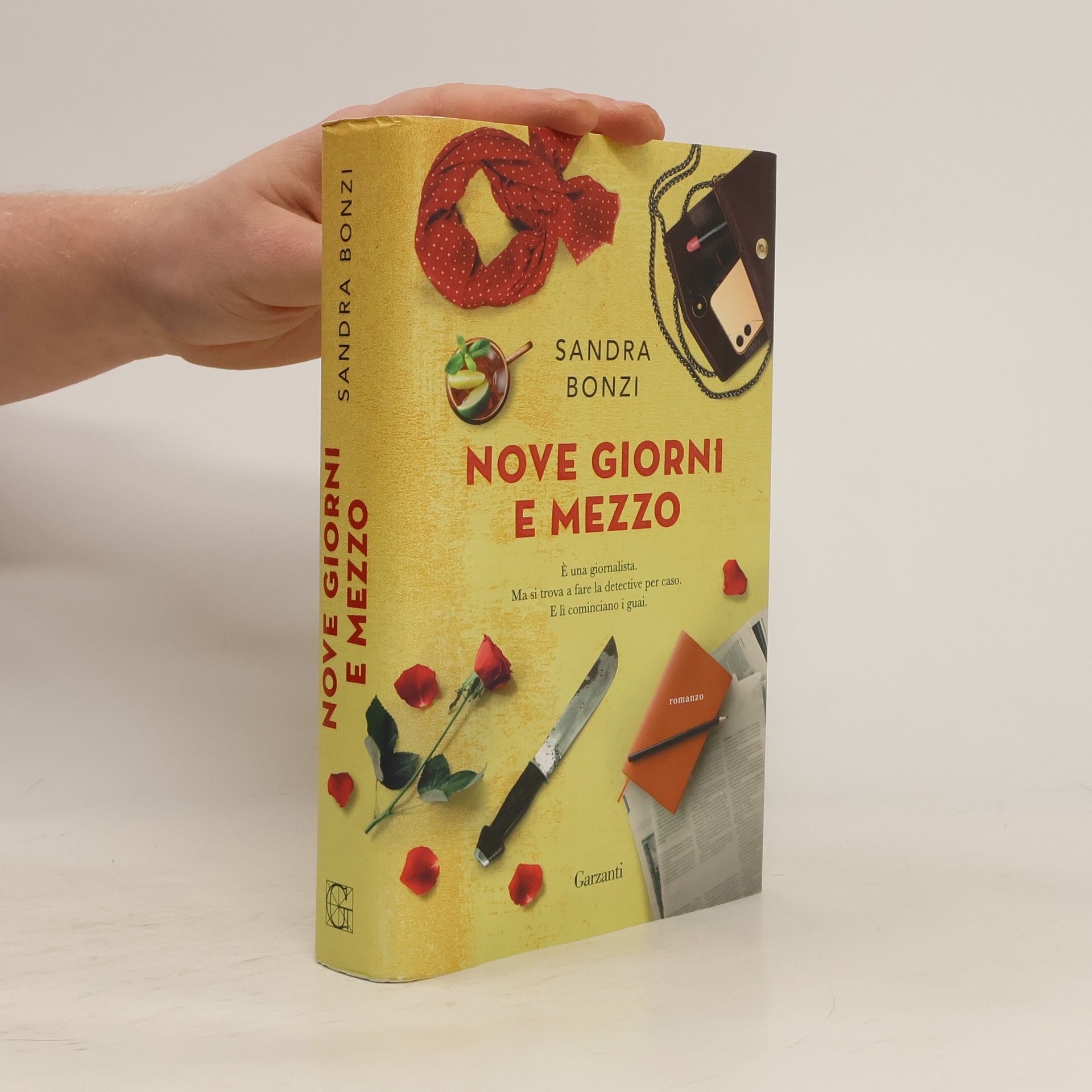 Sandra Bonzi Nove giorni e mezzo