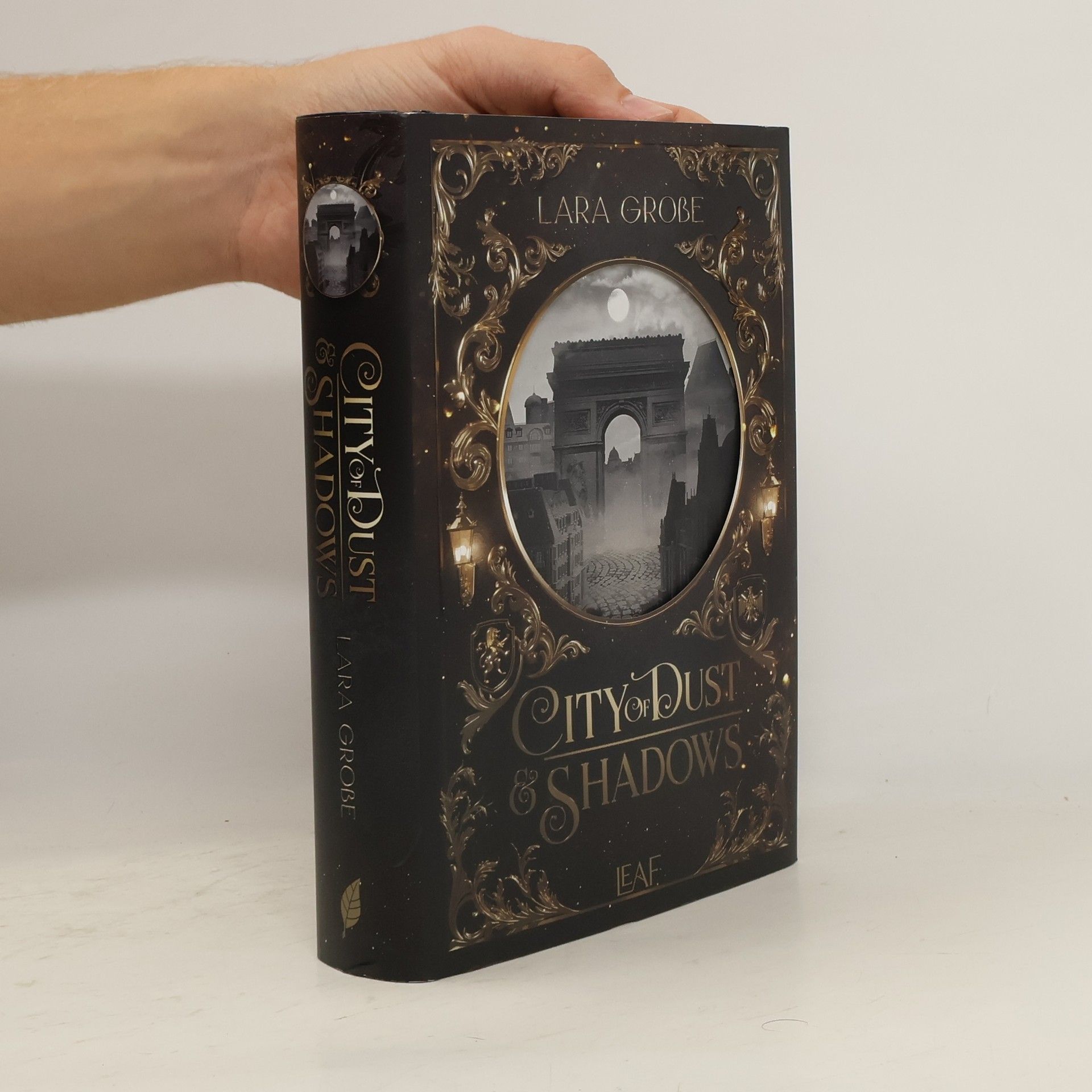 Lara Große City of Dust and Shadows