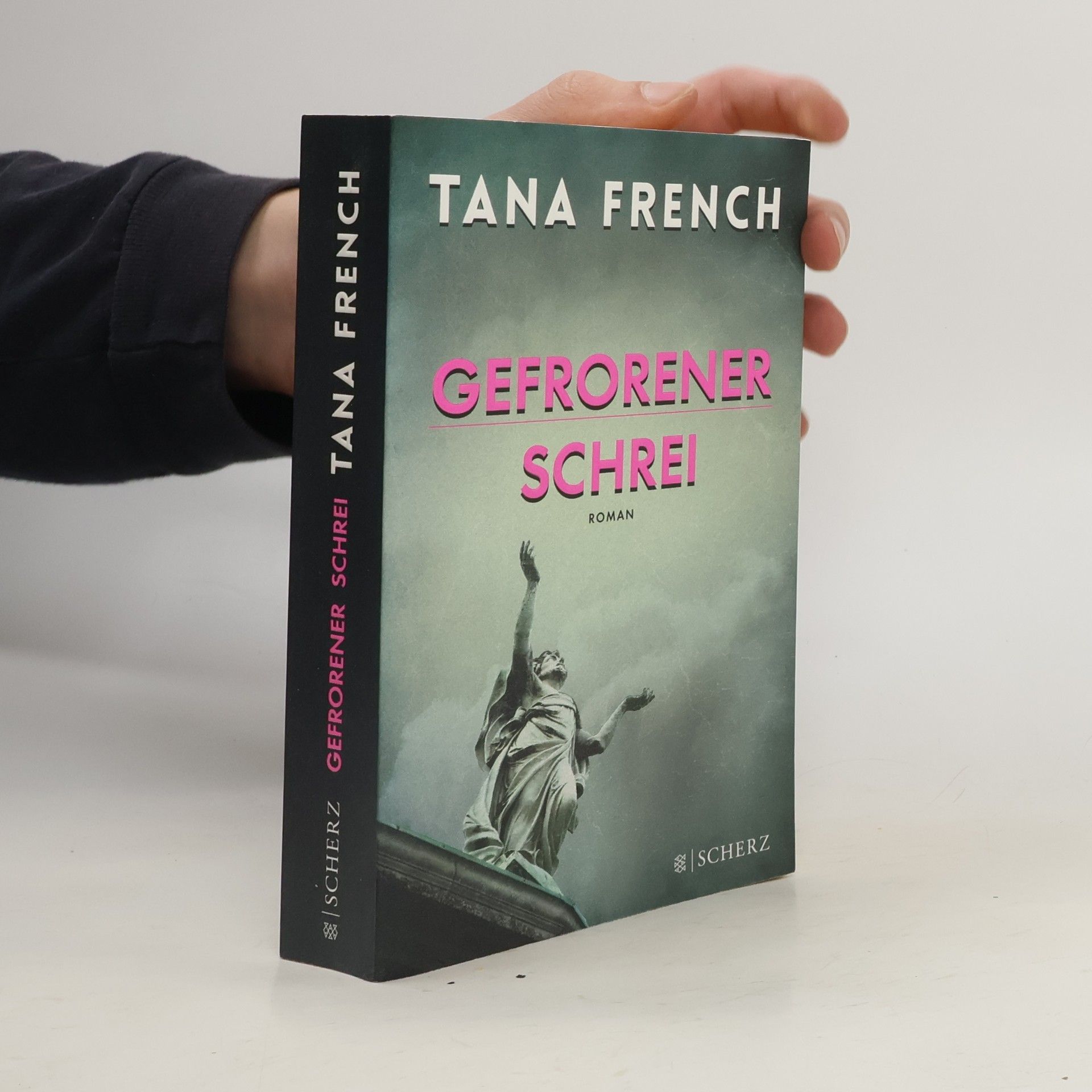 Tana French Gefrorener Schrei