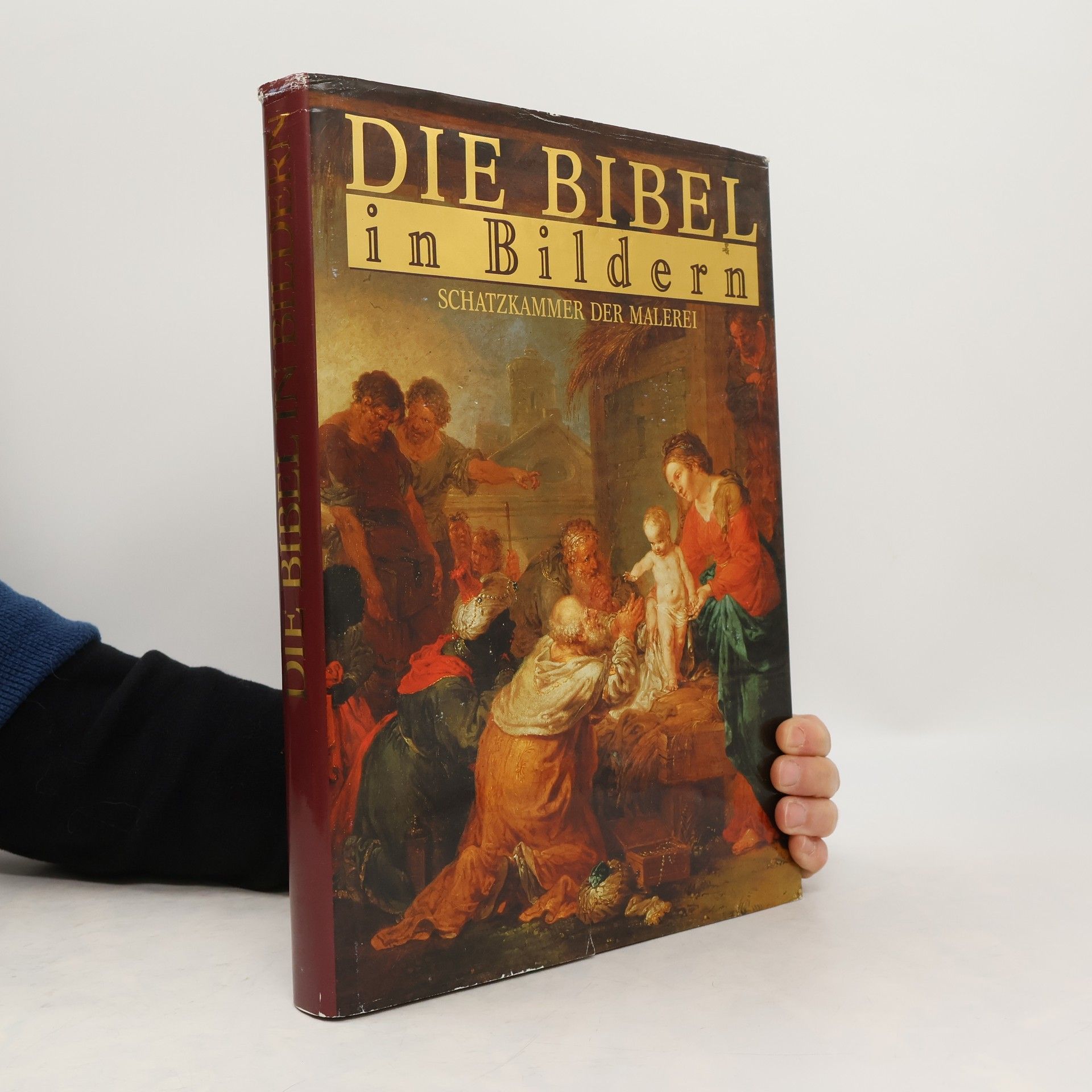 Collectif d'auteurs Die Bibel in Bildern. Schatzkammer der Malerei