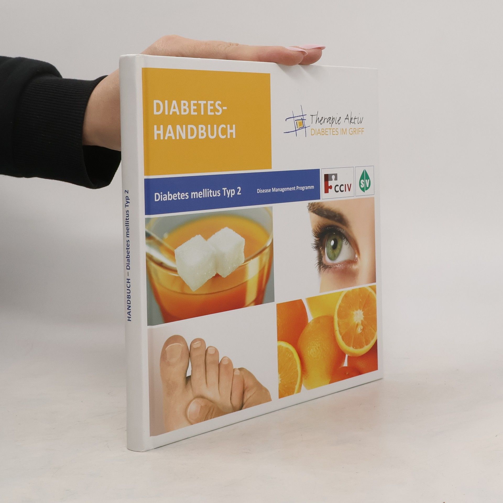 Kolektív autorov Diabetes-Handbuch. Diabetes mellitus Typ 2
