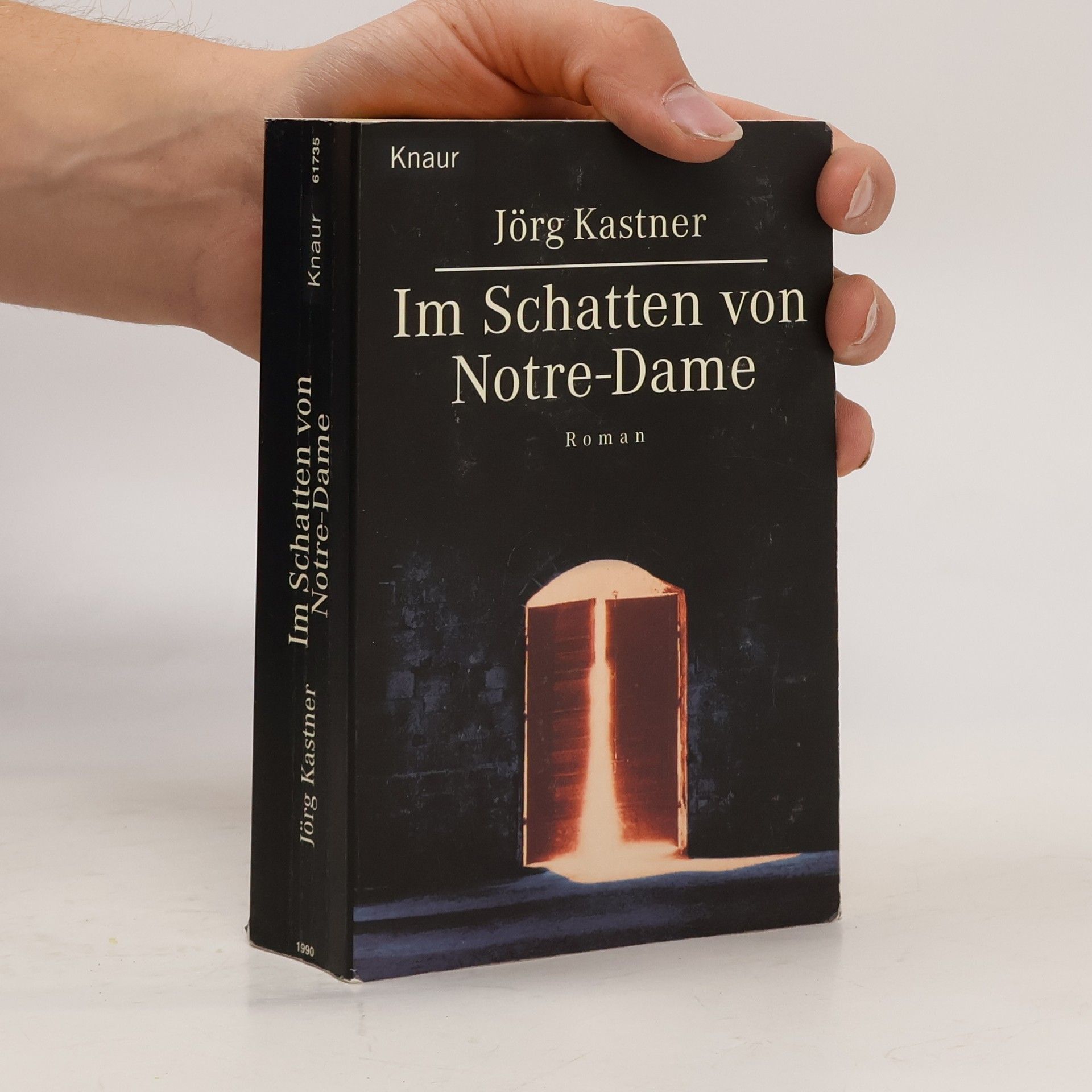 Jörg Kastner Im Schatten von Notre Dame