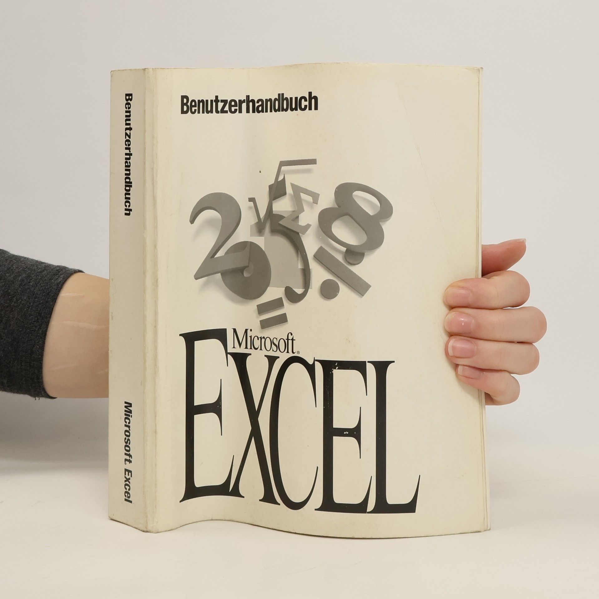 AA.VV. Microsoft Excel. Benutzerhandbuch