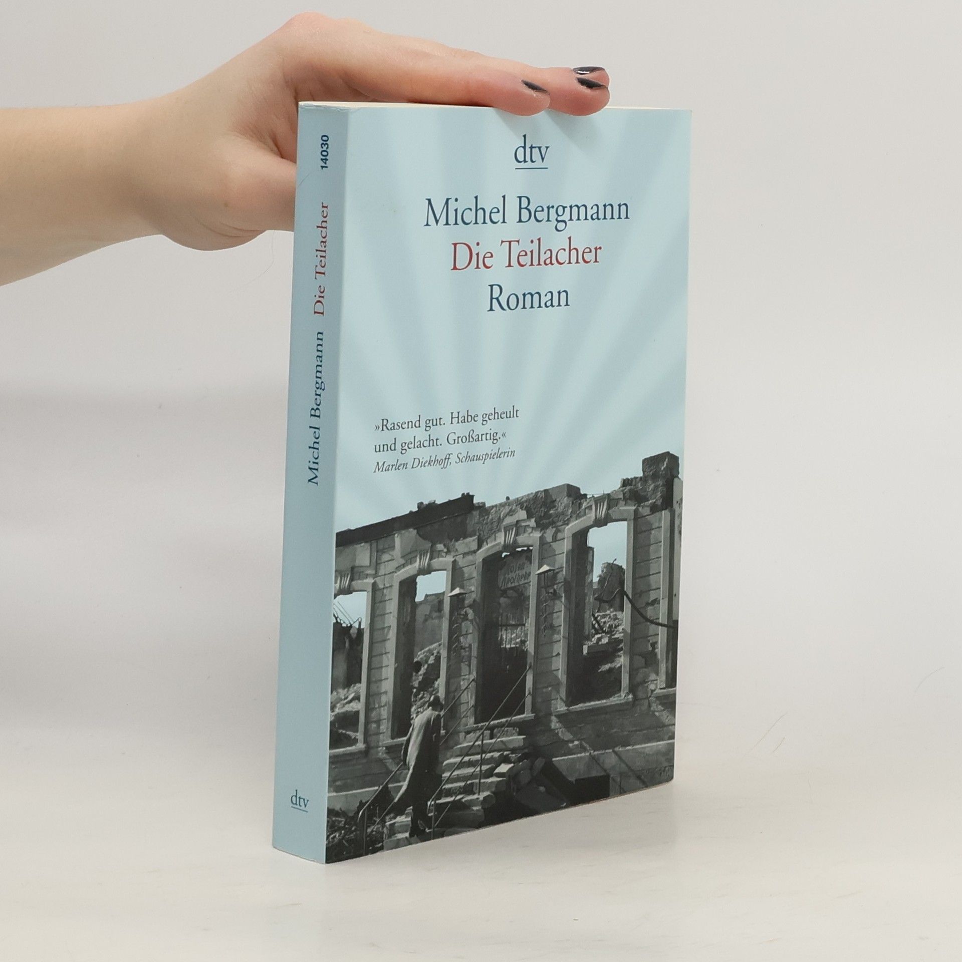 Michel Bergmann Die Teilacher